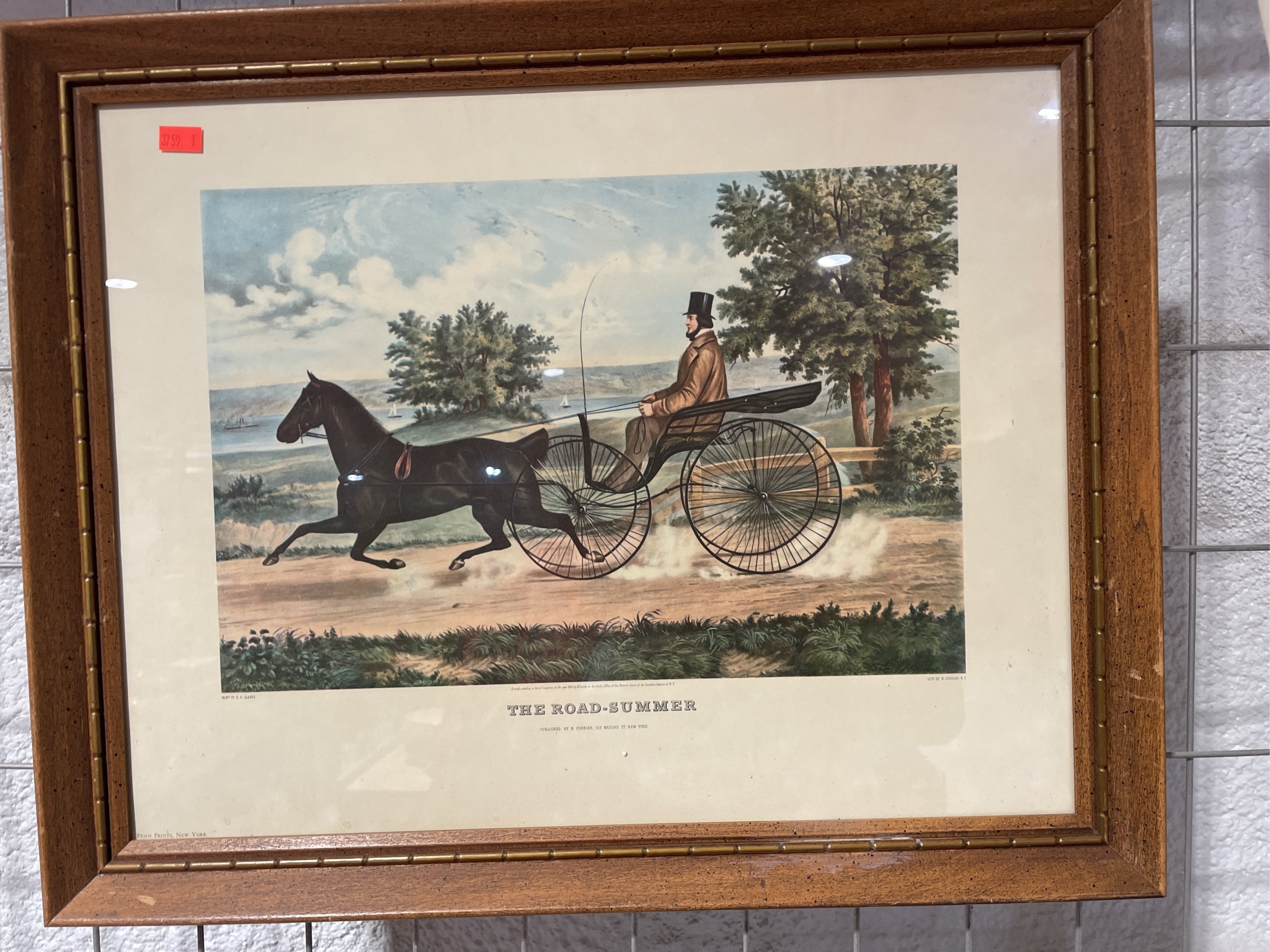 Online Bidding Available!