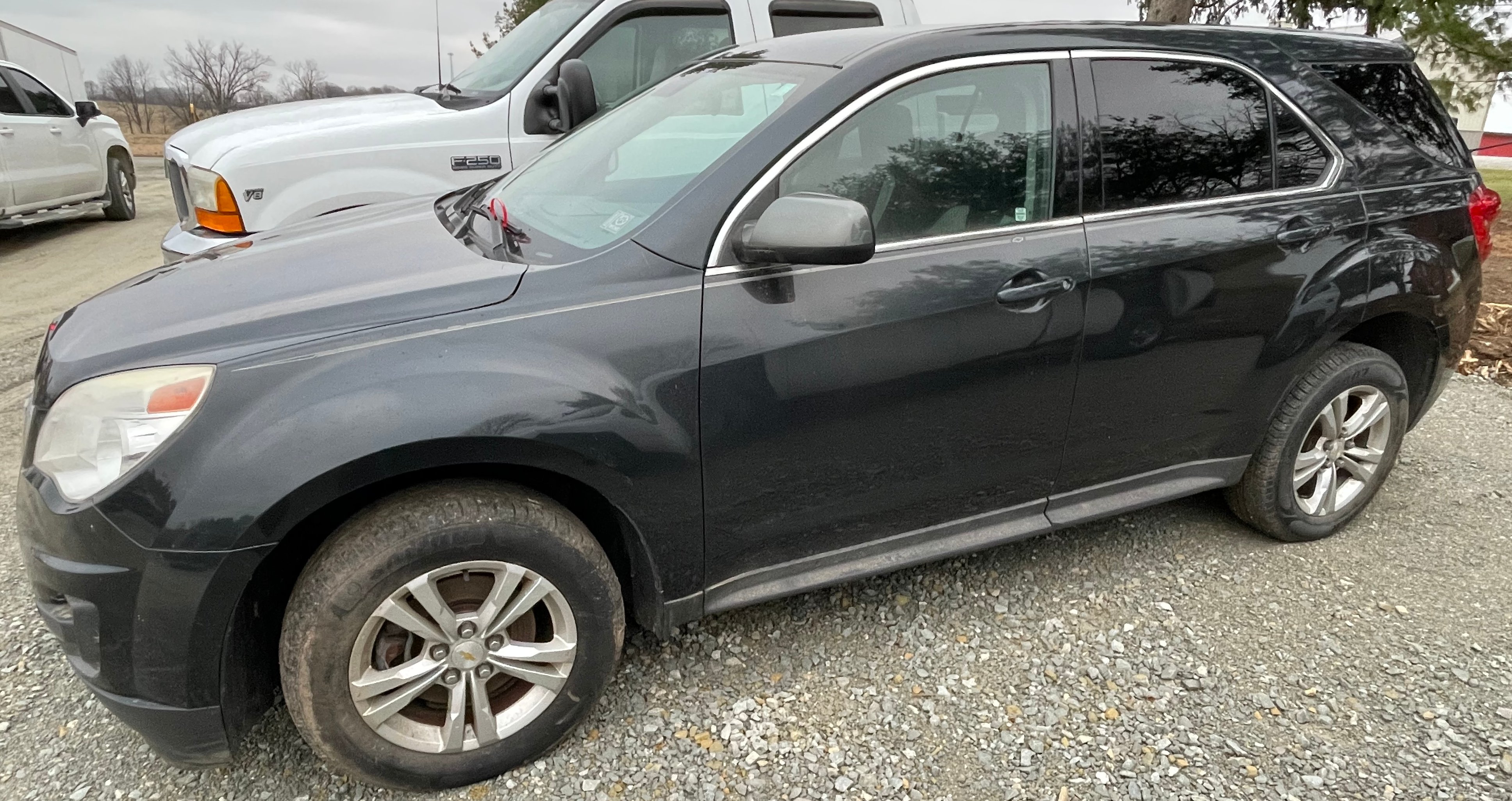 Online Bidding Available!