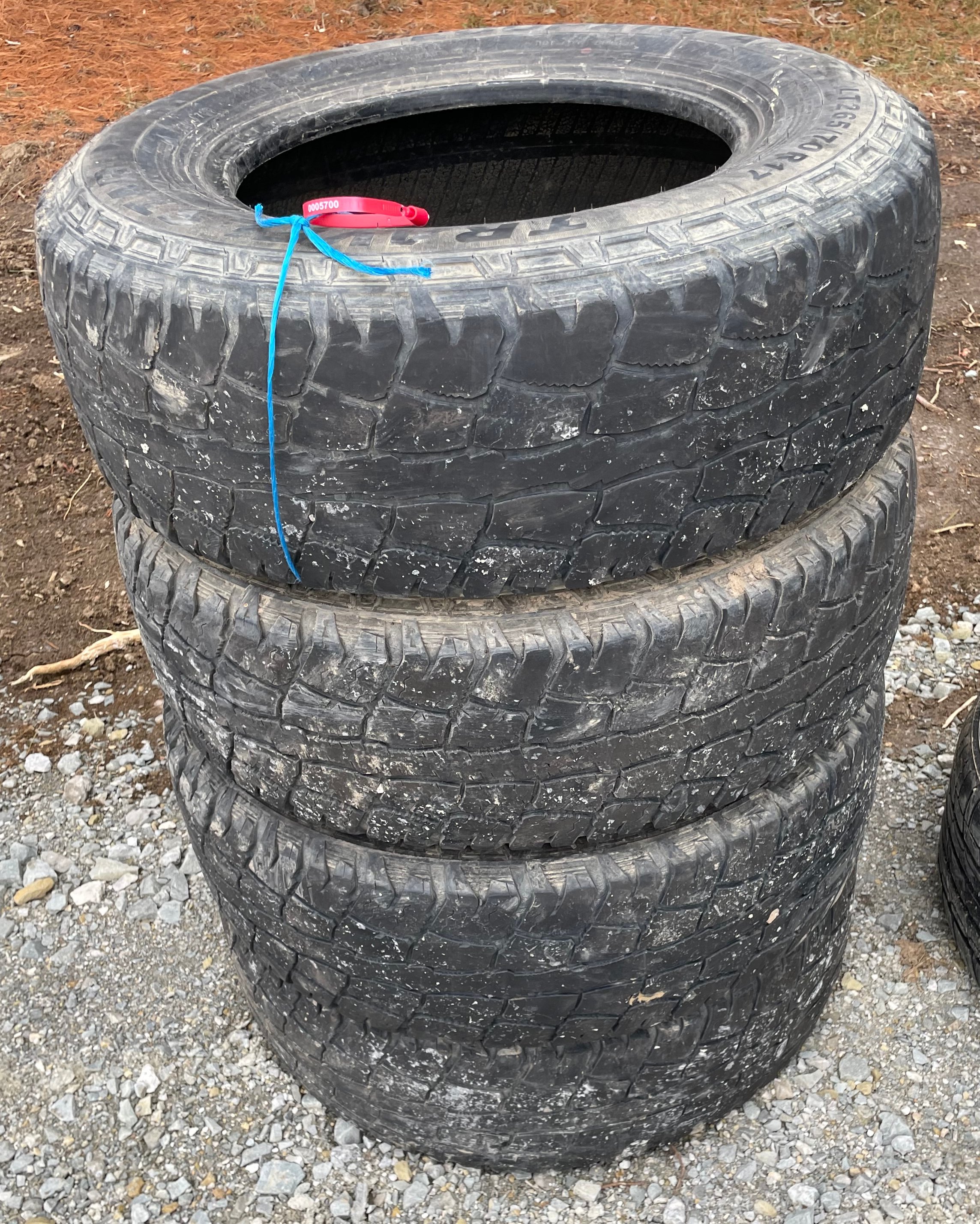 Online Bidding Available!