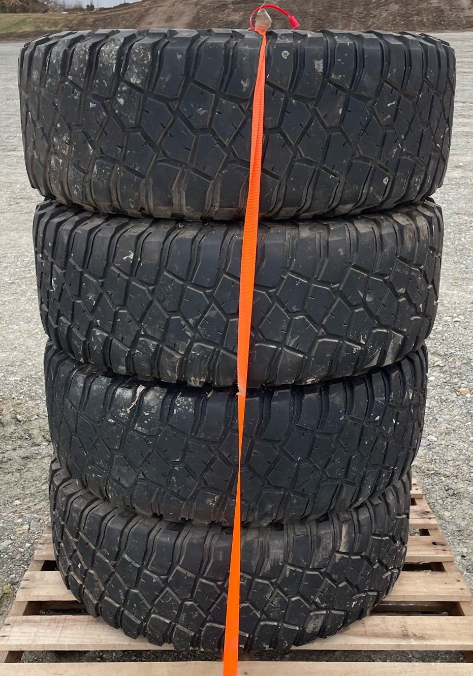 Online Bidding Available!