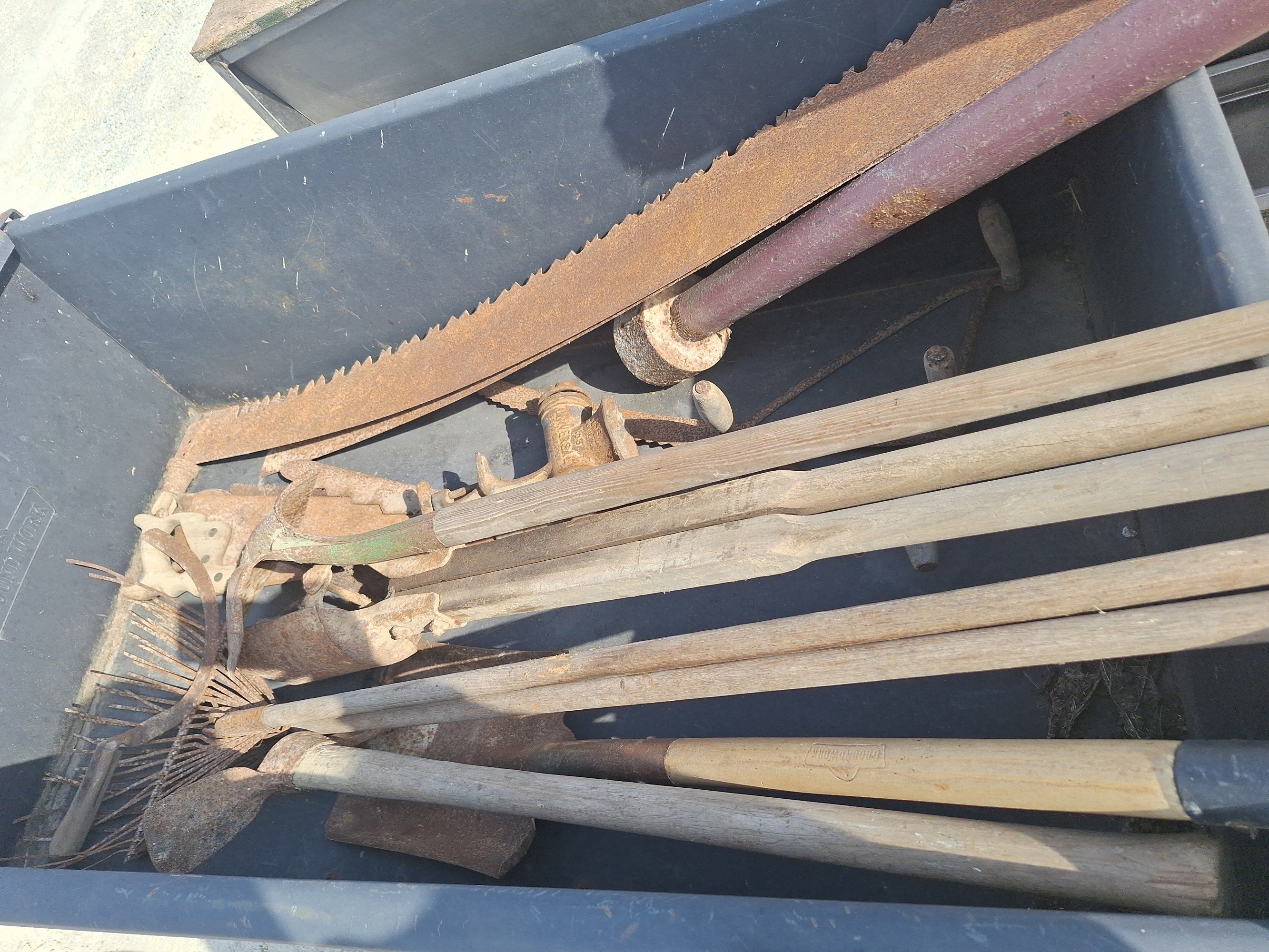 Online Bidding Available!