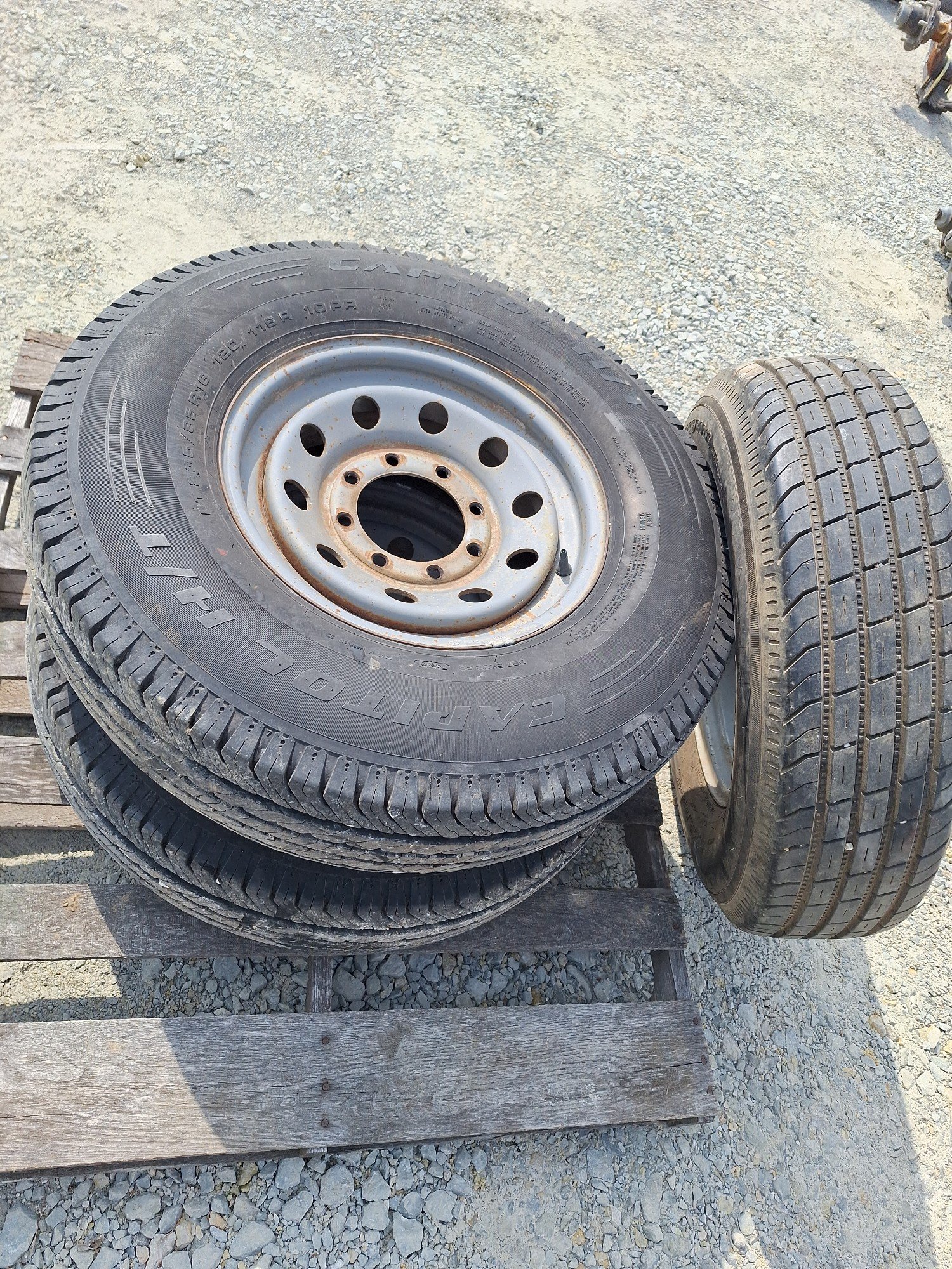 Online Bidding Available!