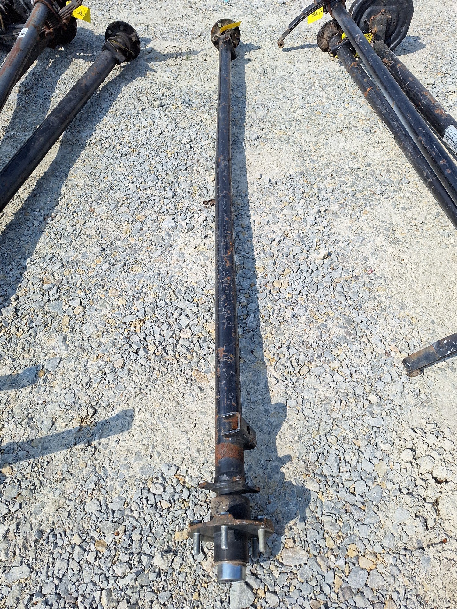 Online Bidding Available!