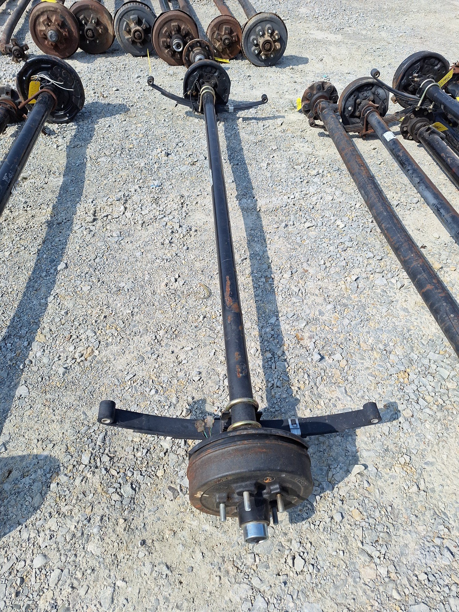 Online Bidding Available!