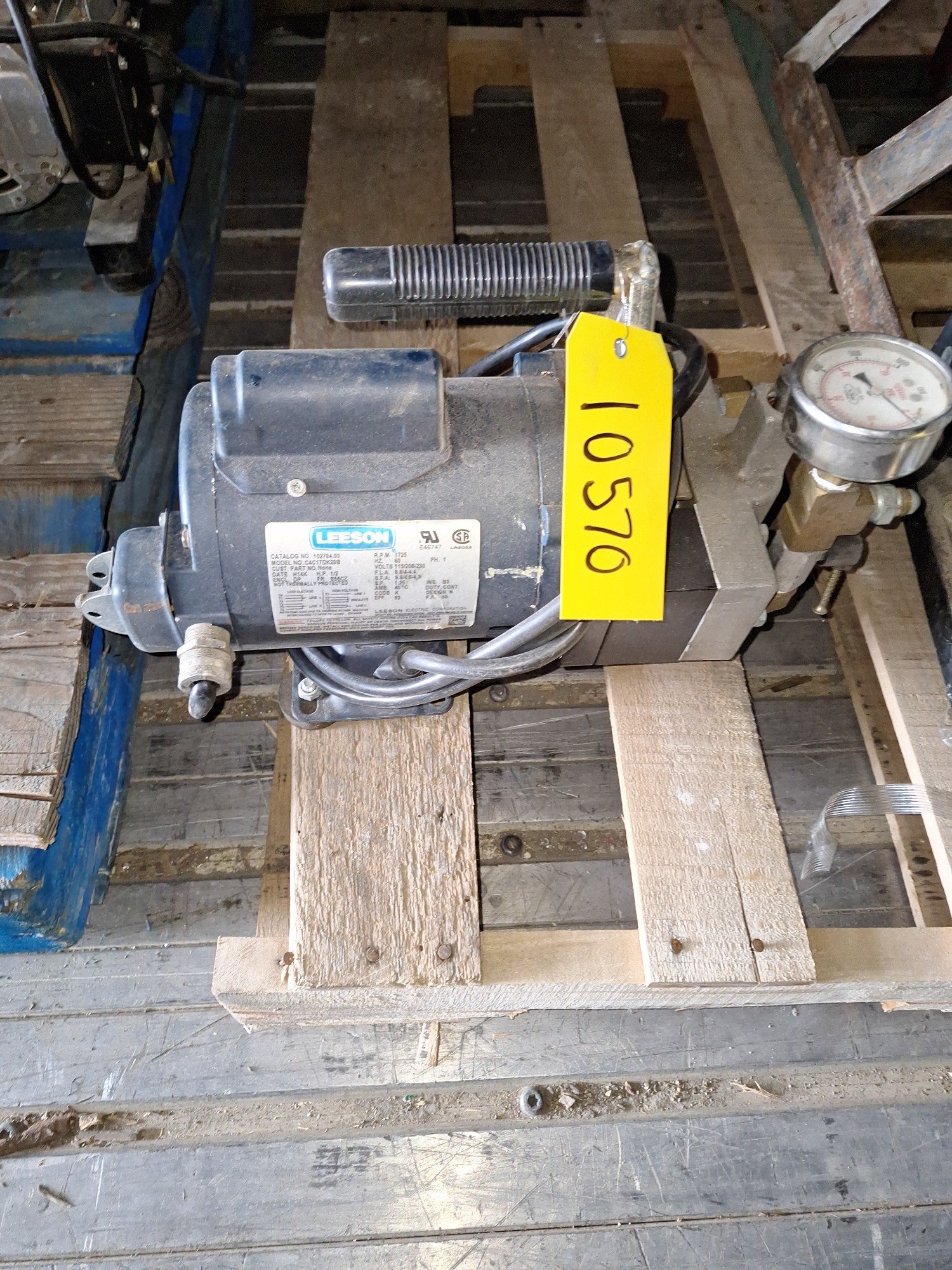 Online Bidding Available!