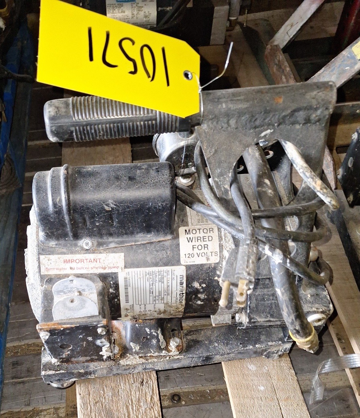 Online Bidding Available!