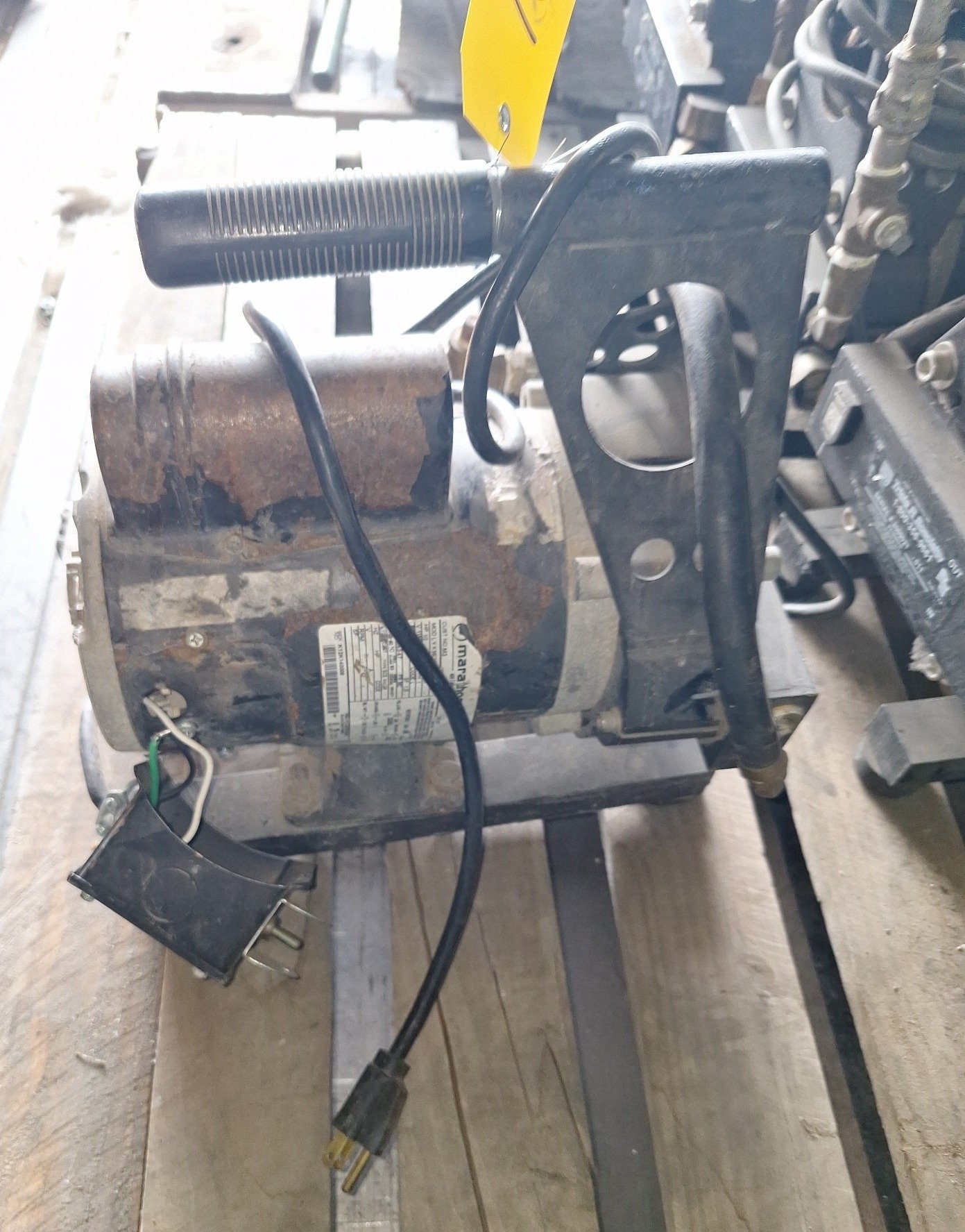 Online Bidding Available!