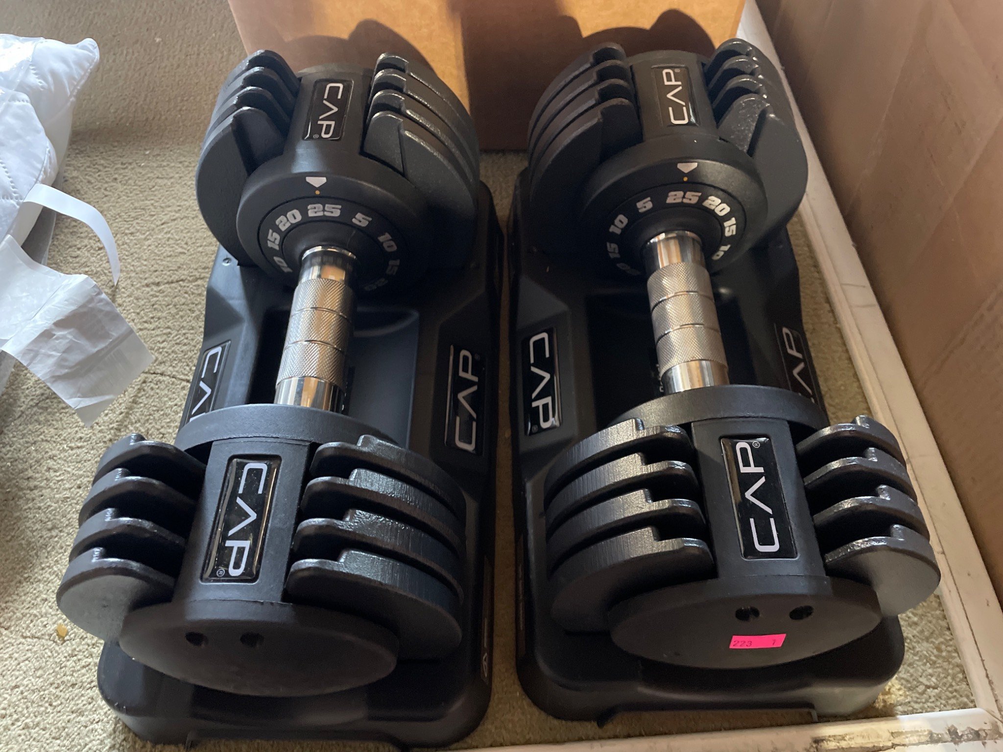 Online Bidding Available!