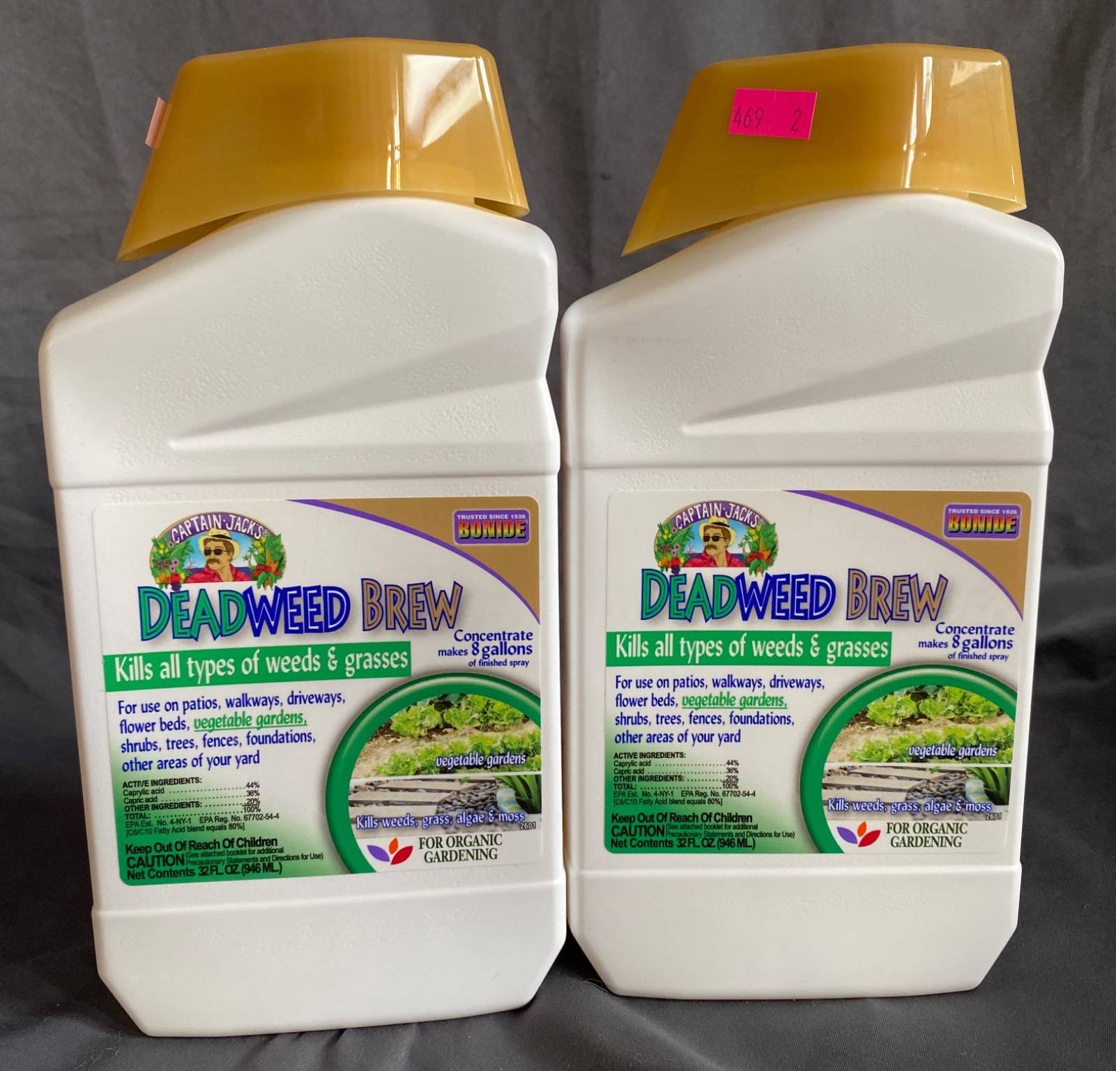 Online Bidding Available!