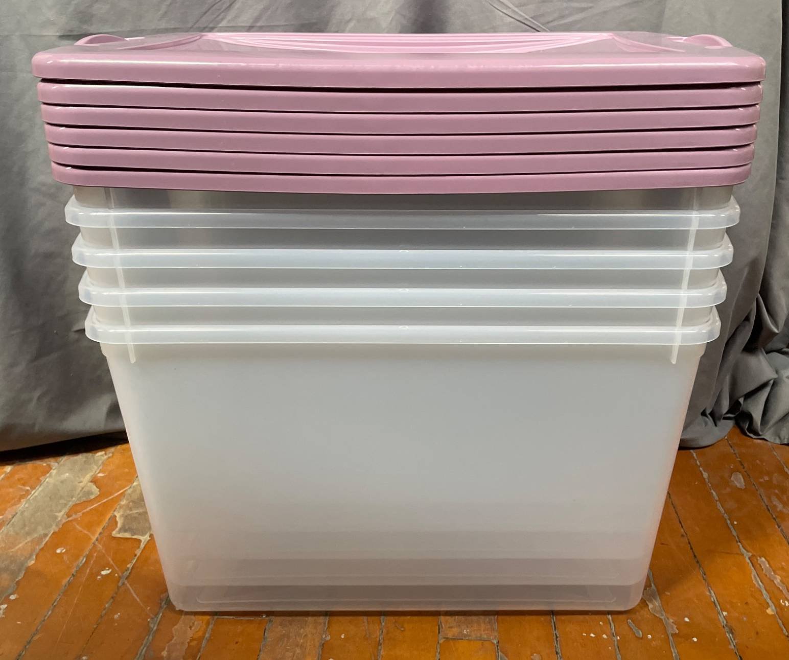 Online Bidding Available!