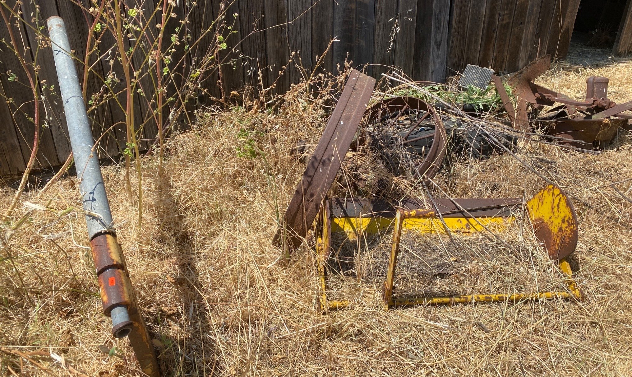 Online Bidding Available!