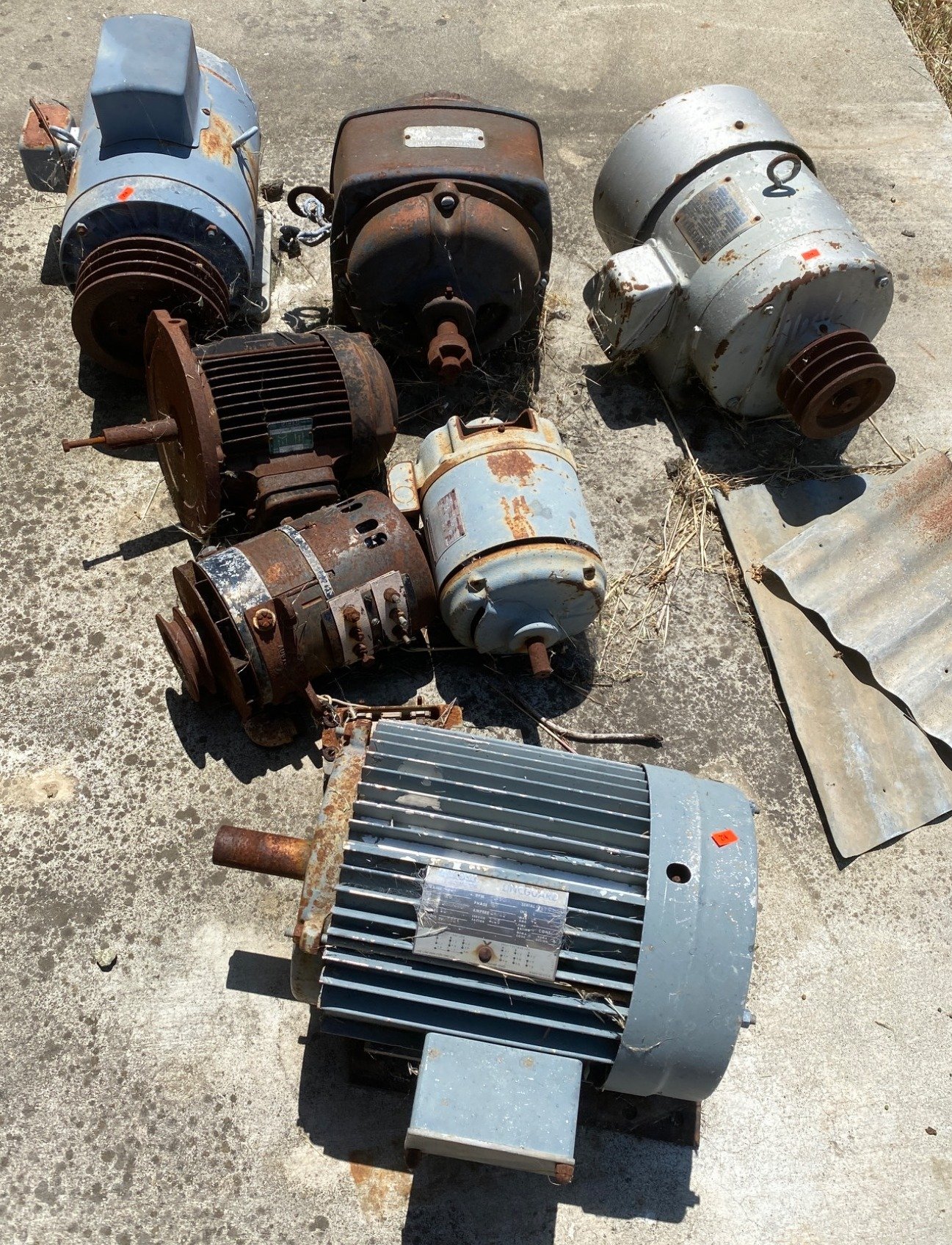 Online Bidding Available!