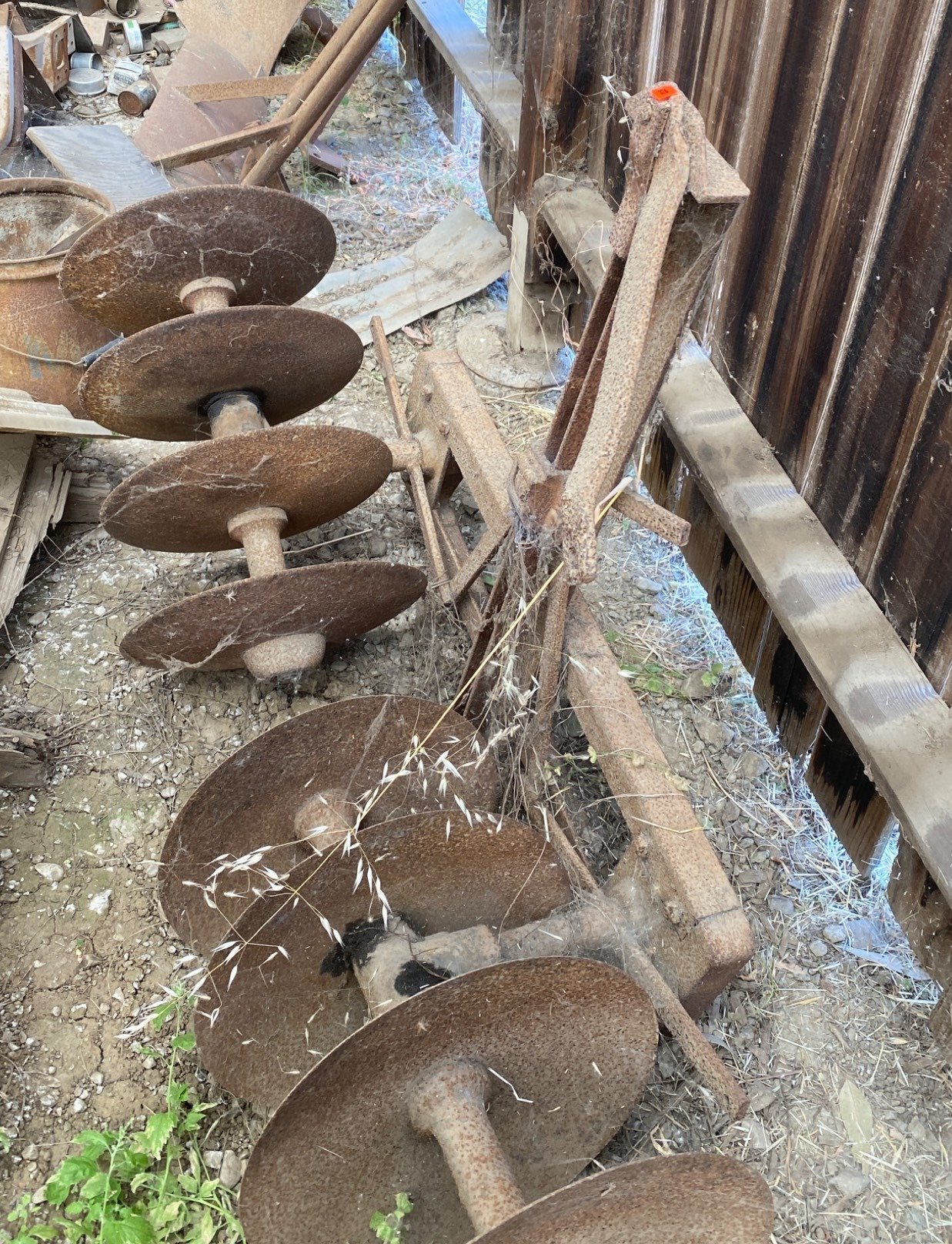 Online Bidding Available!