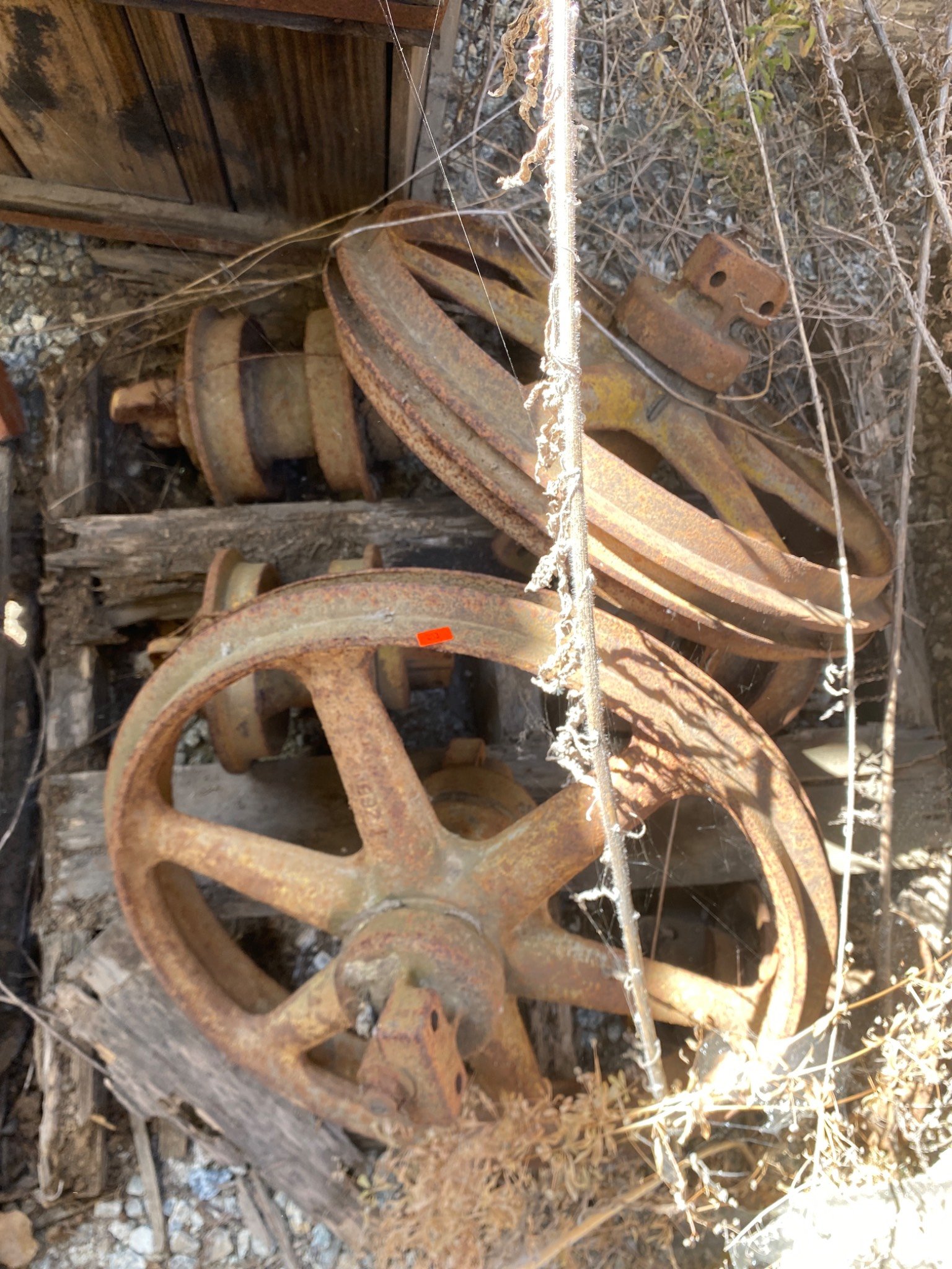 Online Bidding Available!