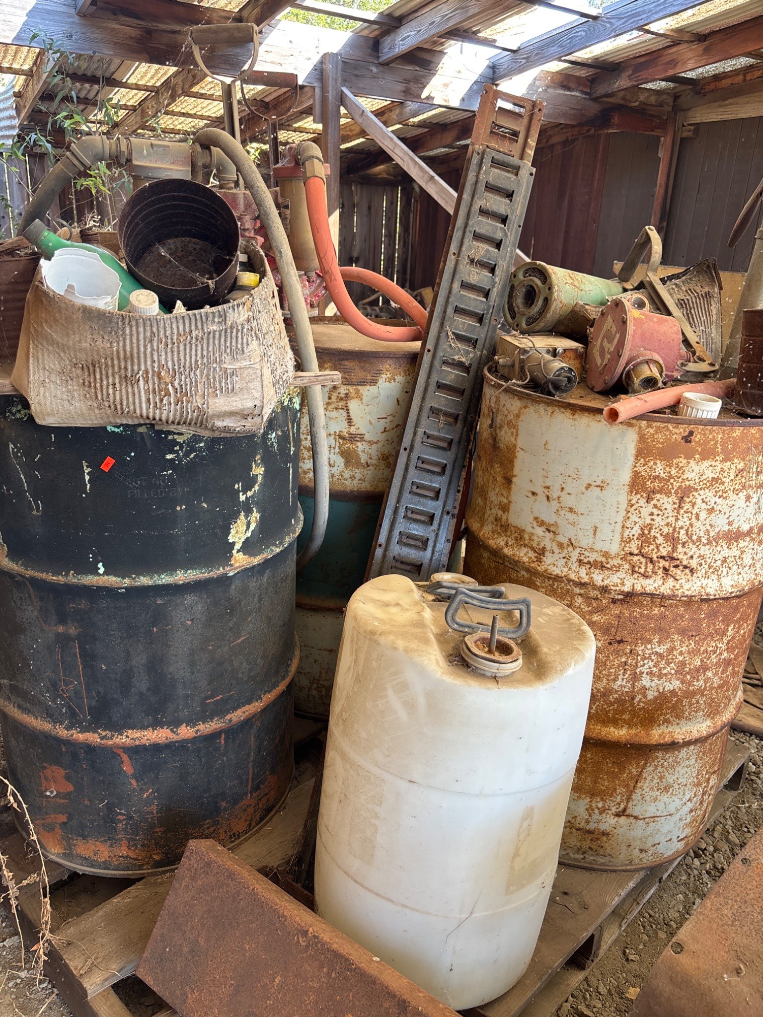 Online Bidding Available!