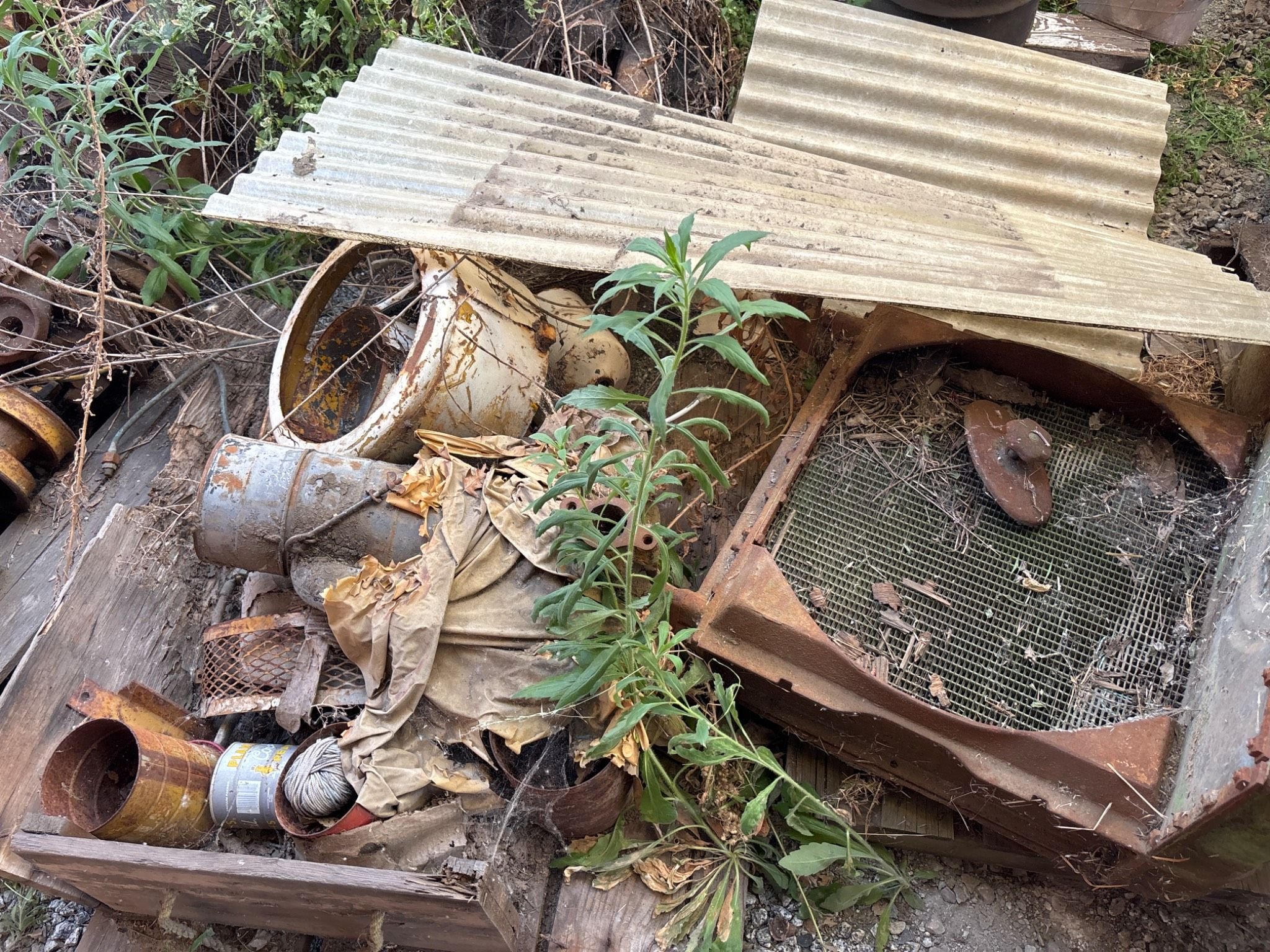 Online Bidding Available!