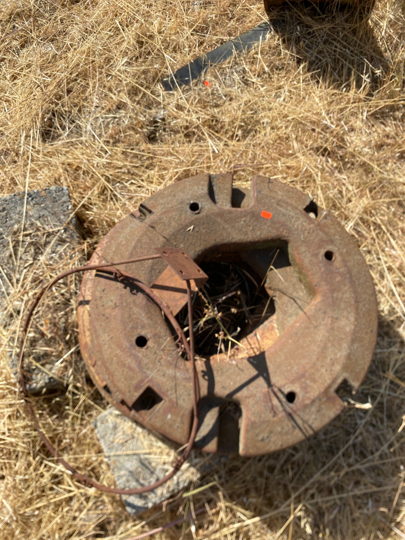 Online Bidding Available!