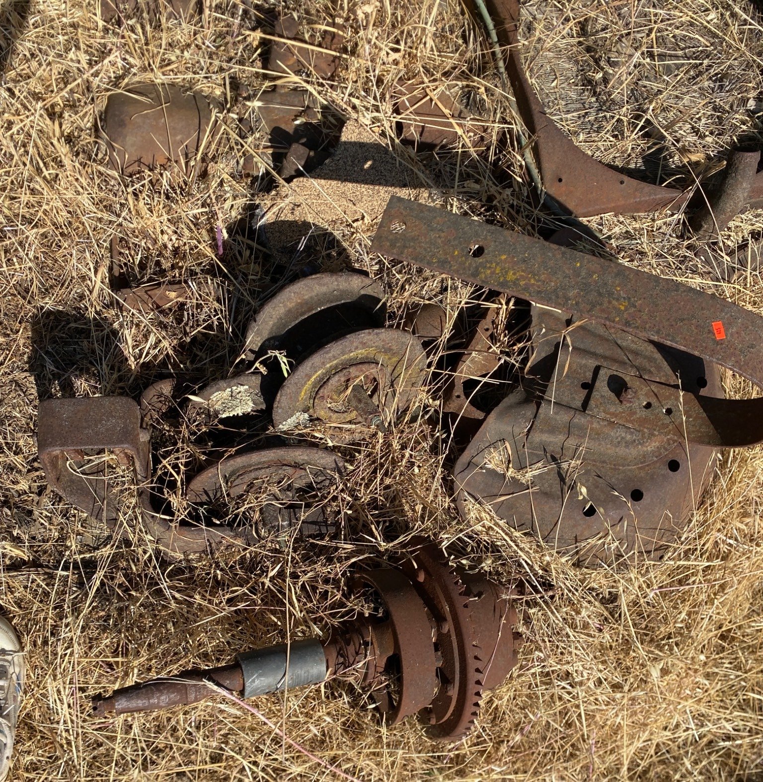 Online Bidding Available!