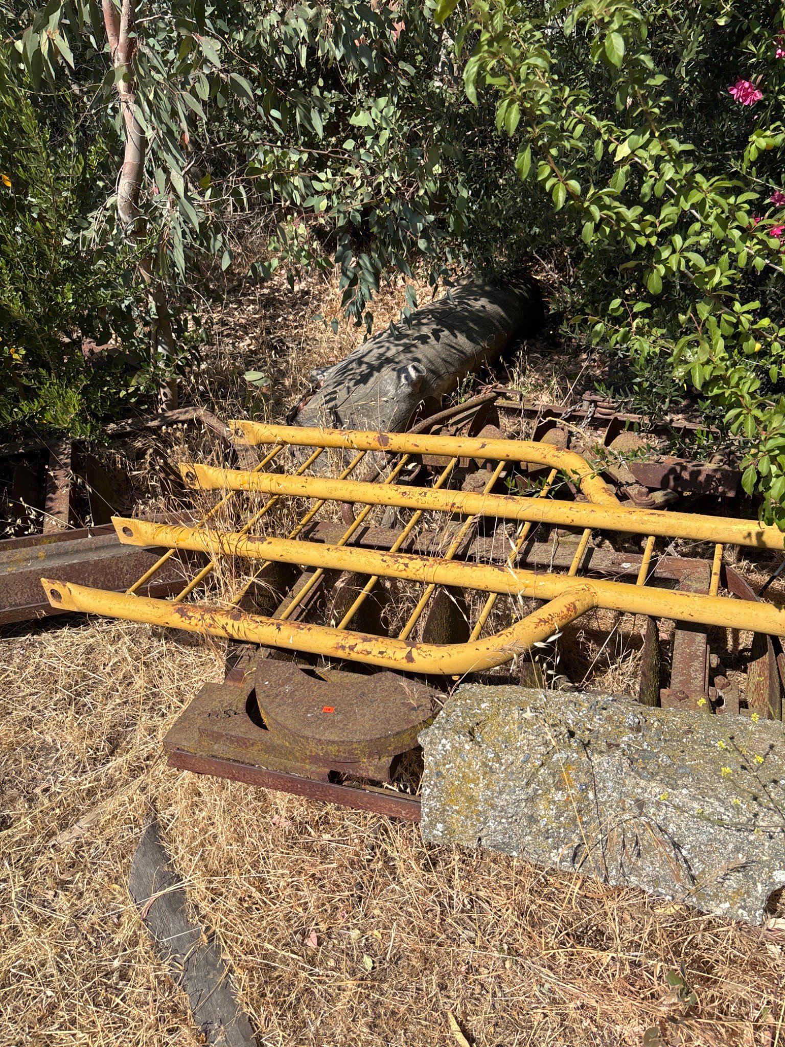 Online Bidding Available!