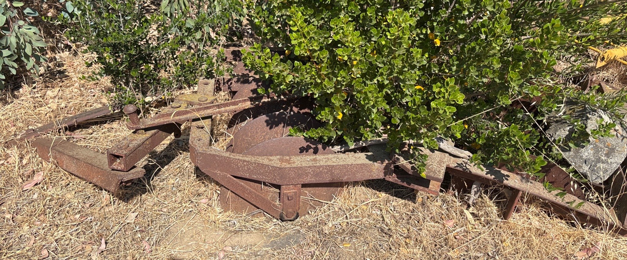 Online Bidding Available!