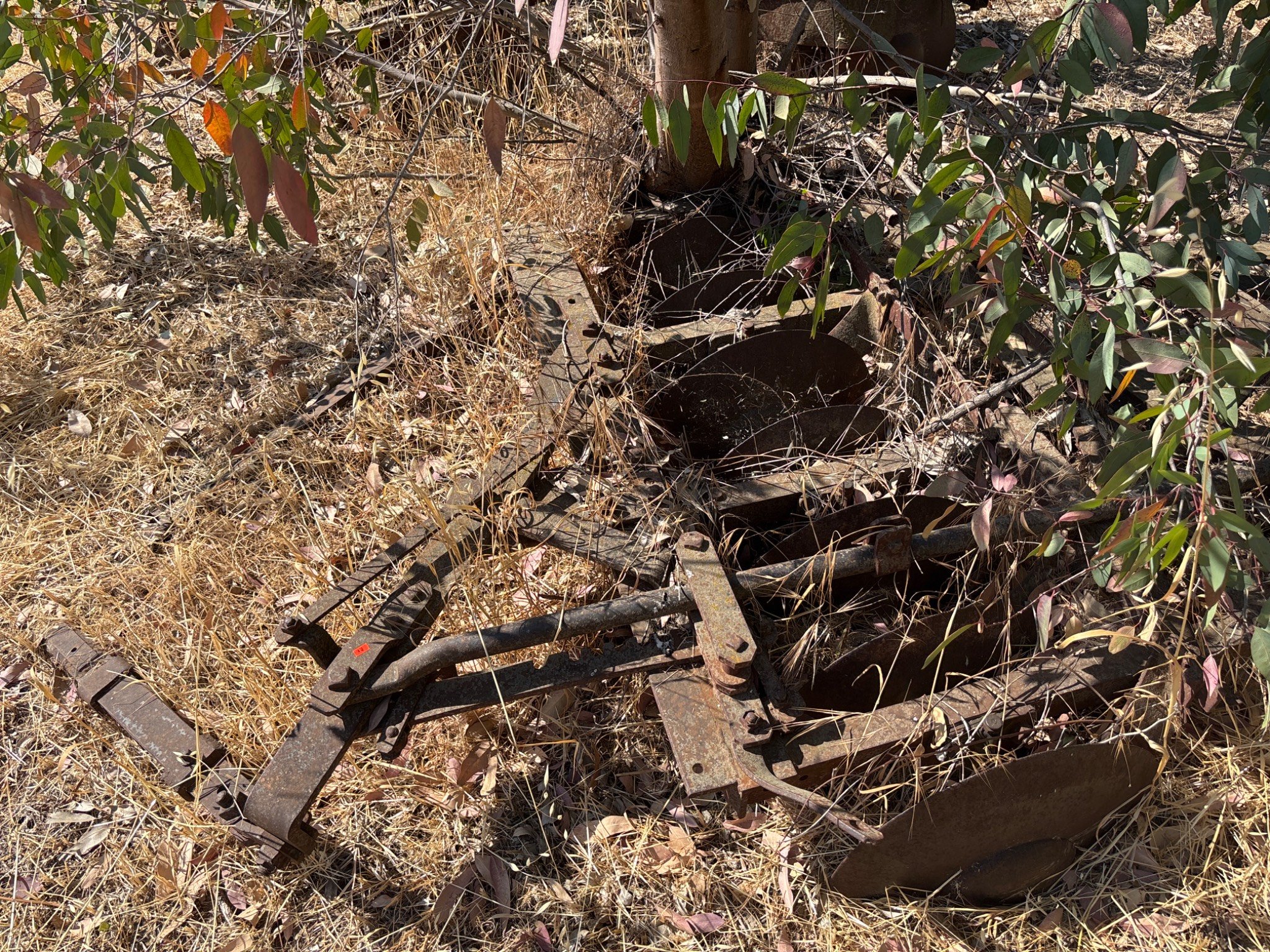 Online Bidding Available!