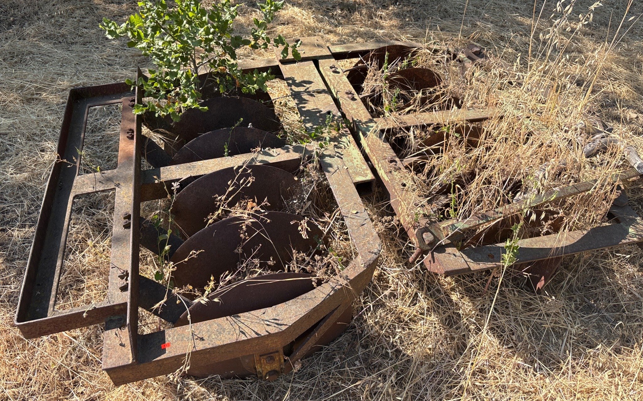 Online Bidding Available!