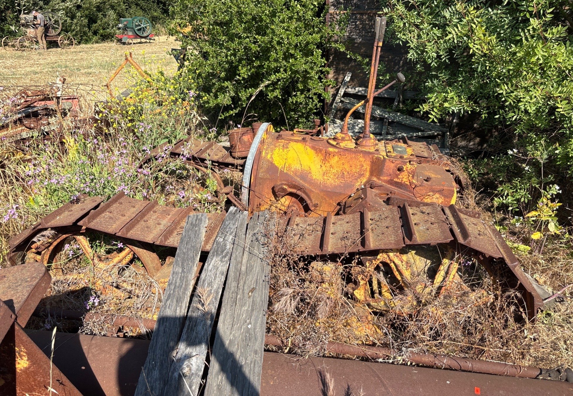 Online Bidding Available!