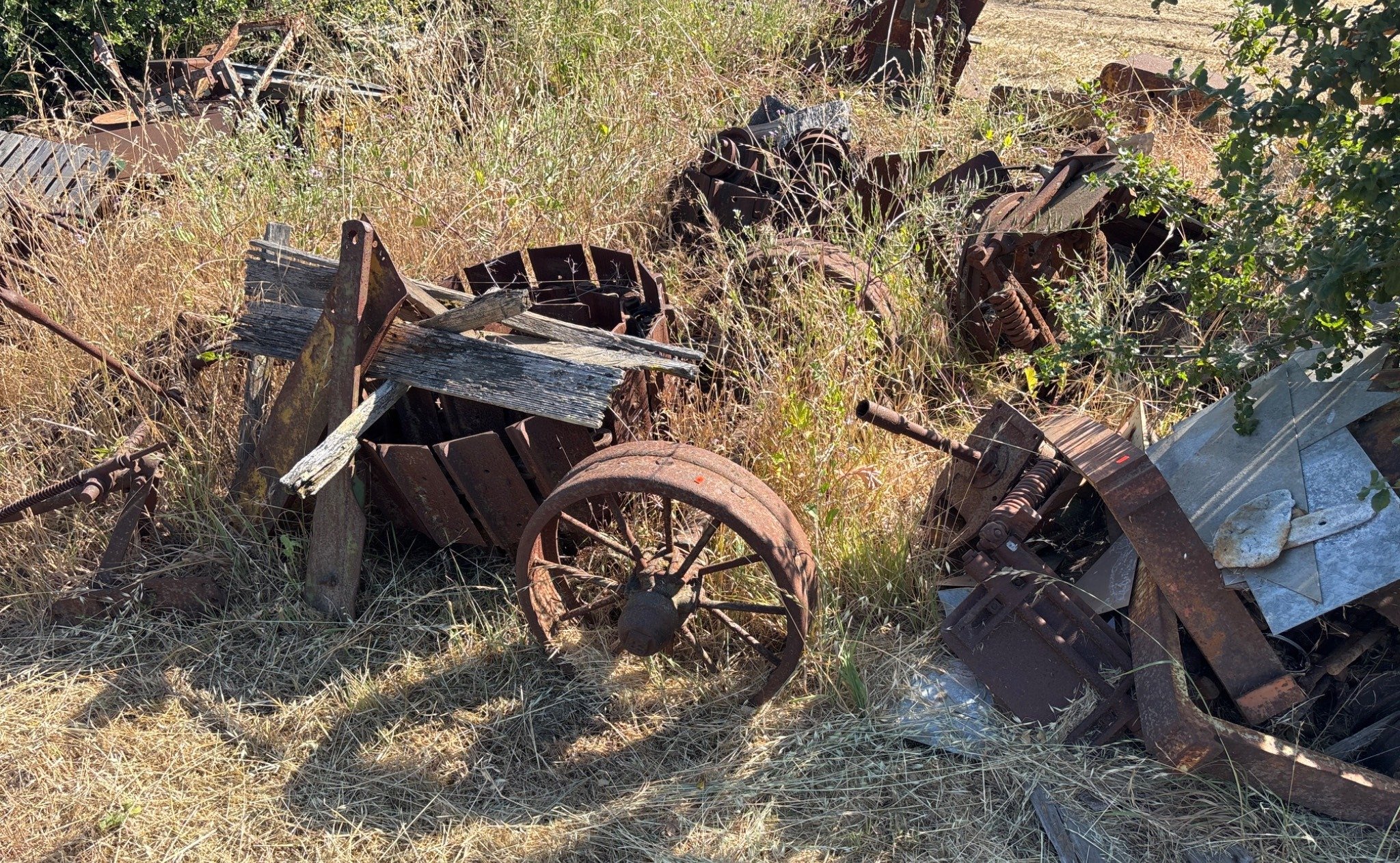 Online Bidding Available!