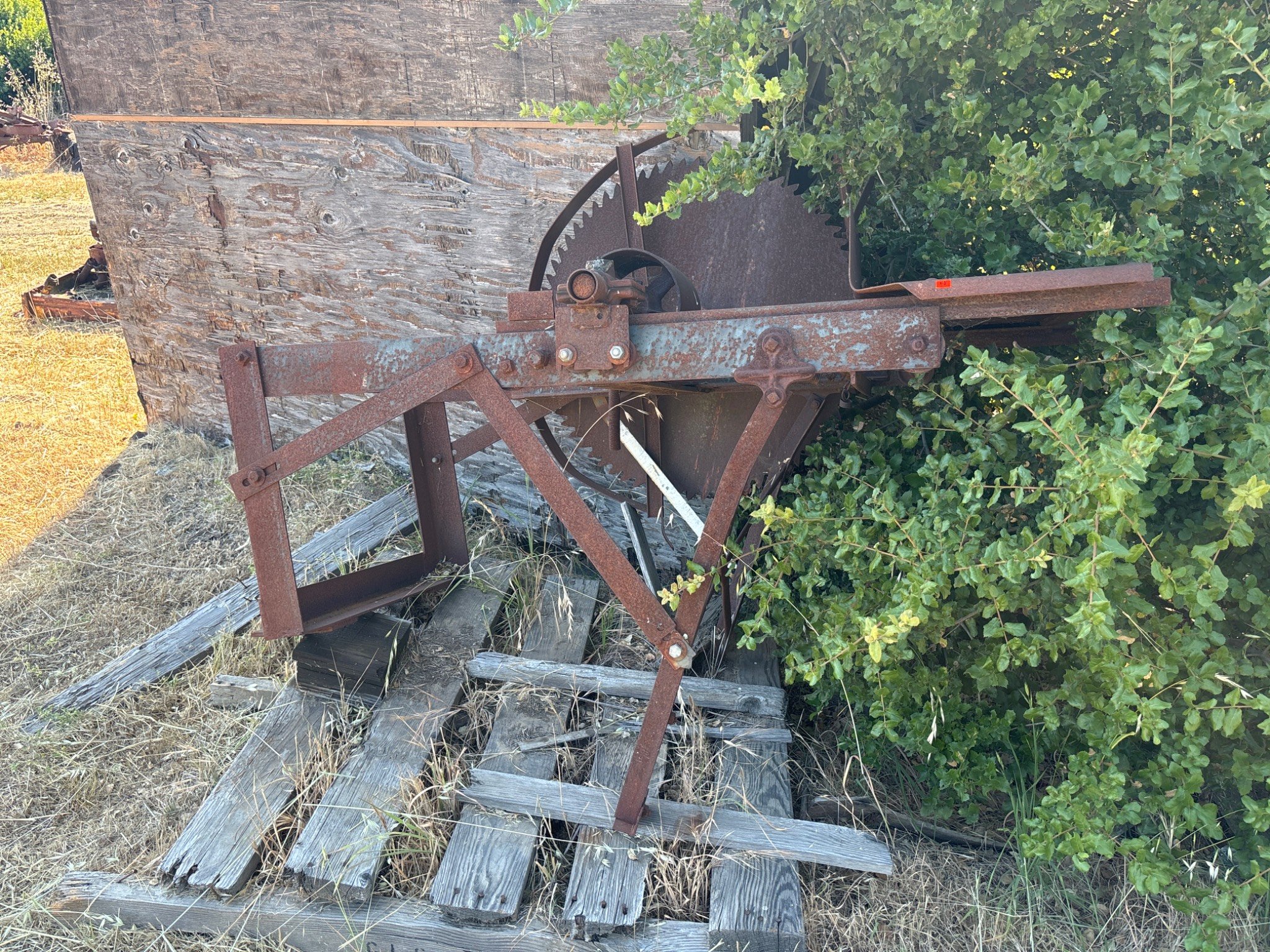 Online Bidding Available!