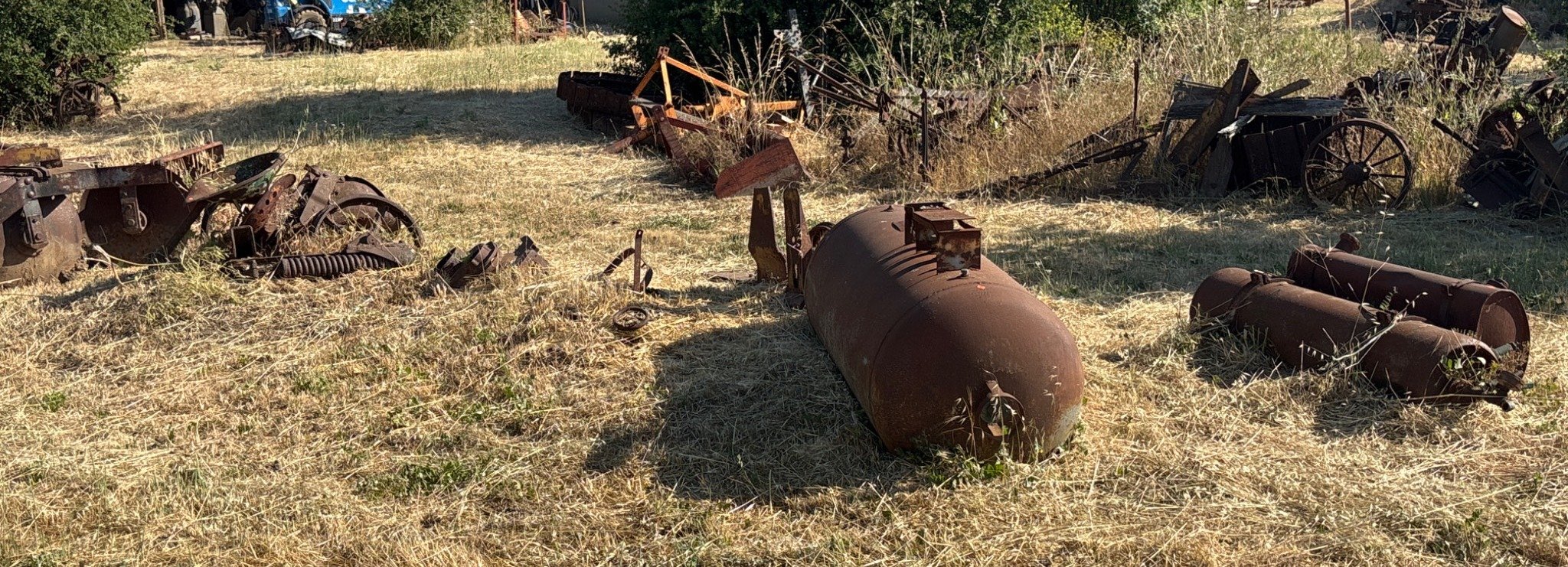 Online Bidding Available!