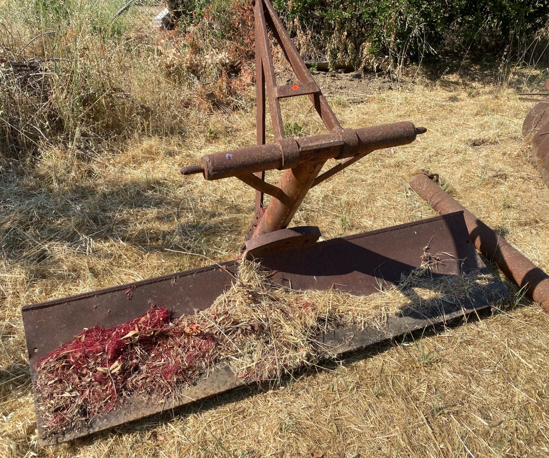 Online Bidding Available!