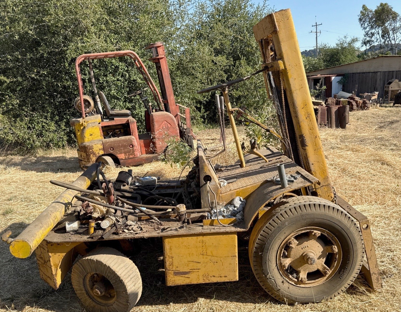 Online Bidding Available!