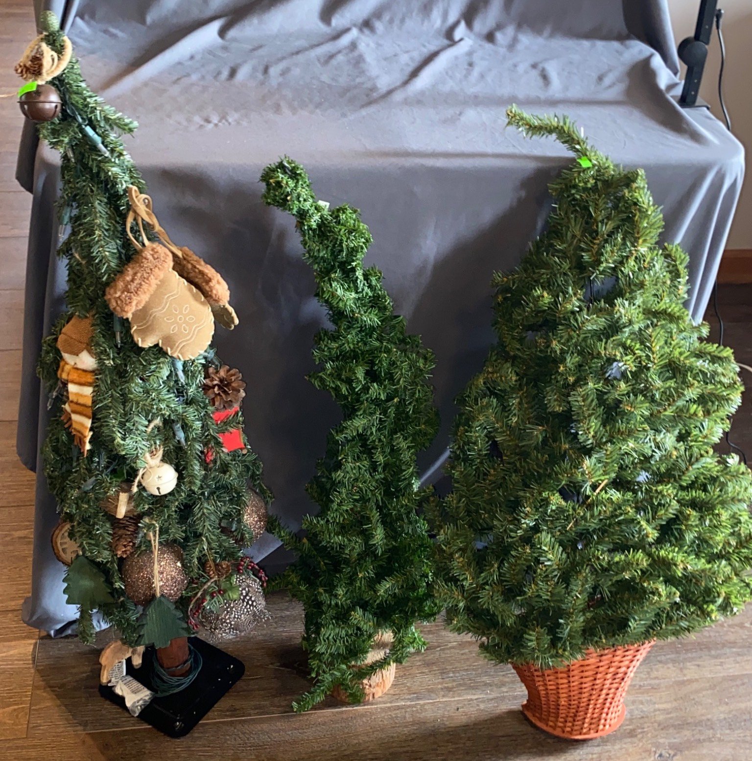 Online Bidding Available!