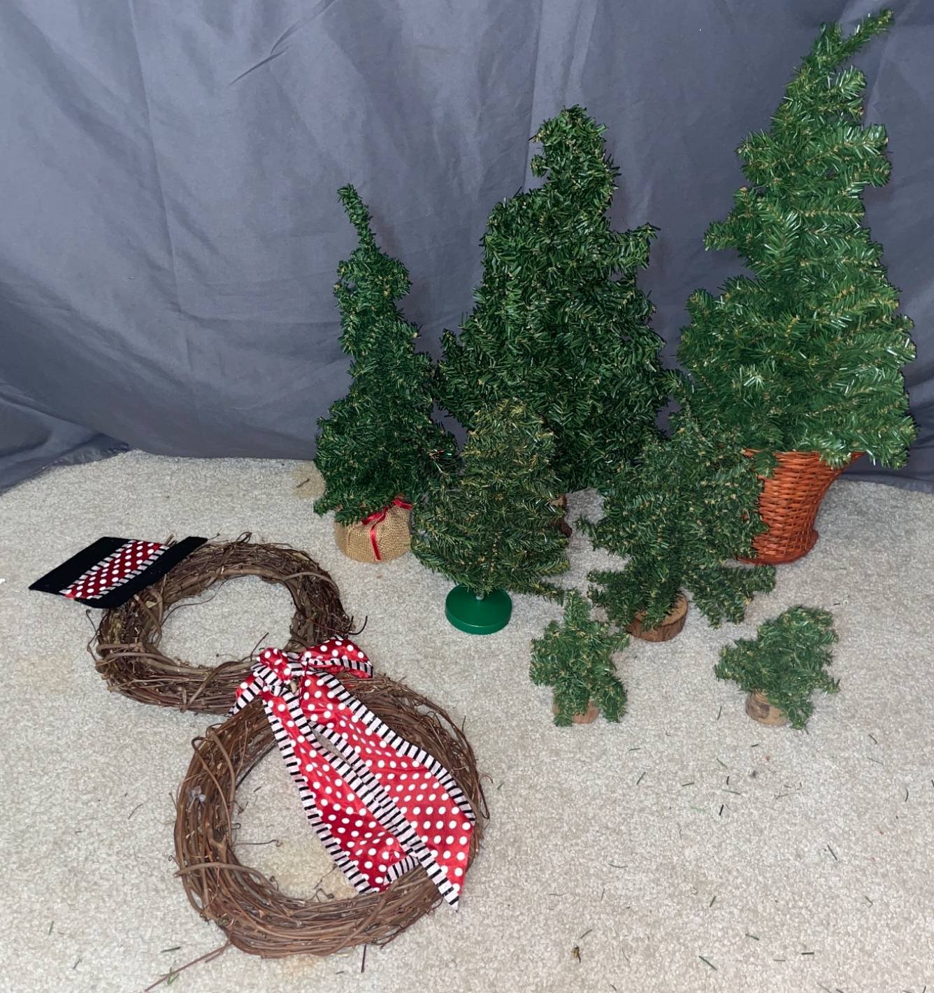 Online Bidding Available!