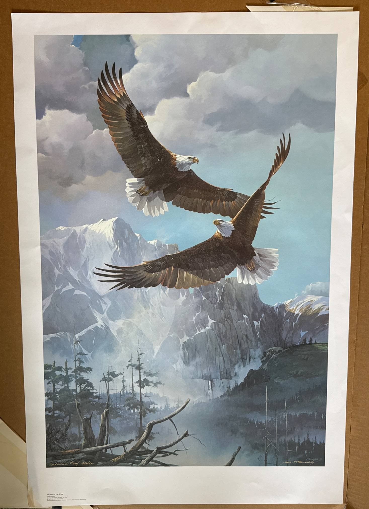 Online Bidding Available!