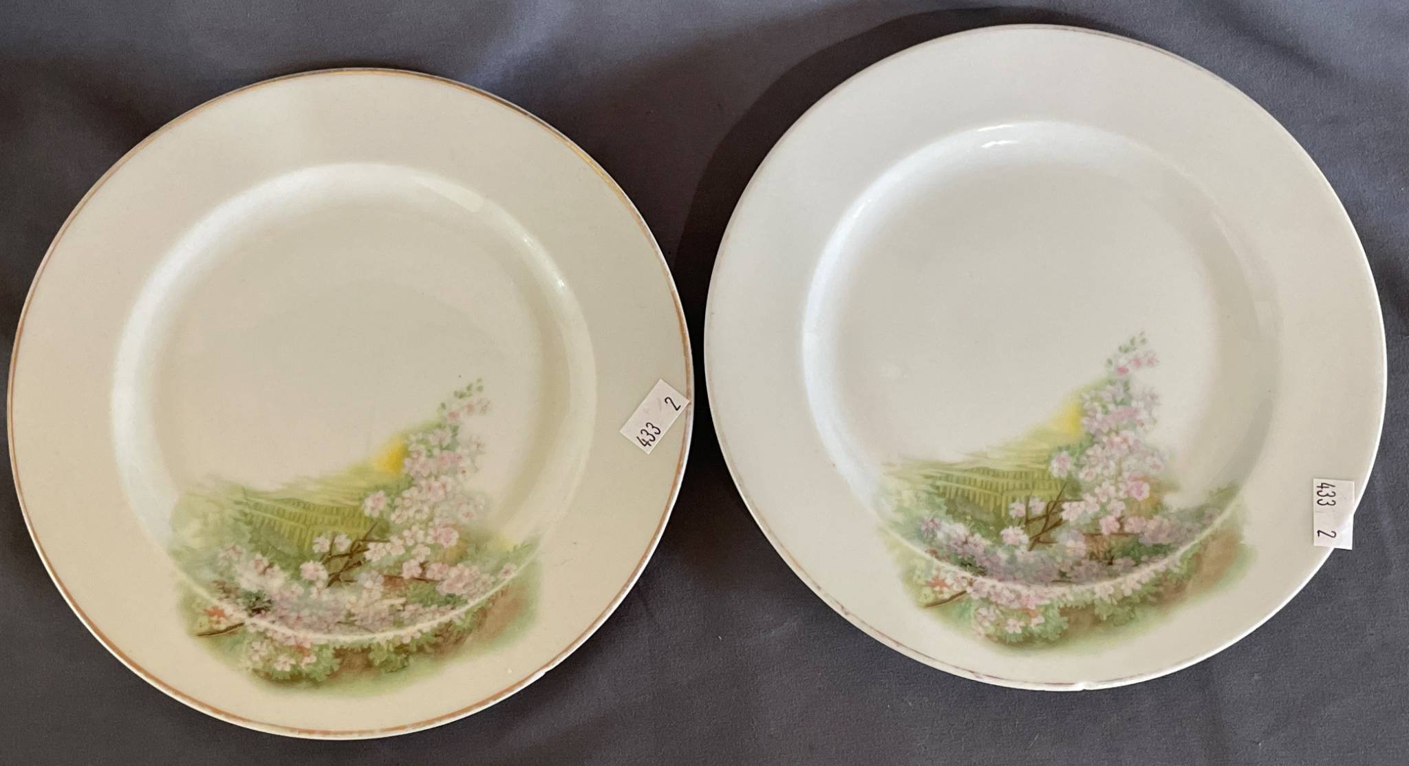 Online Bidding Available!