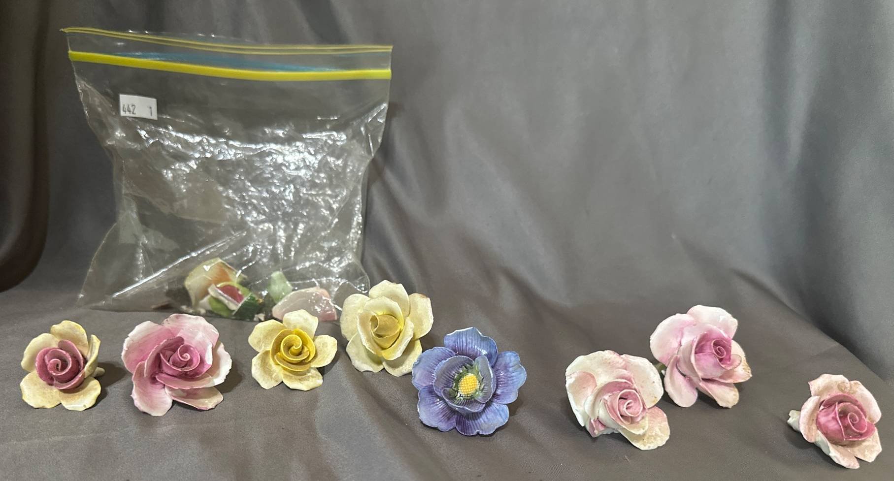 Online Bidding Available!