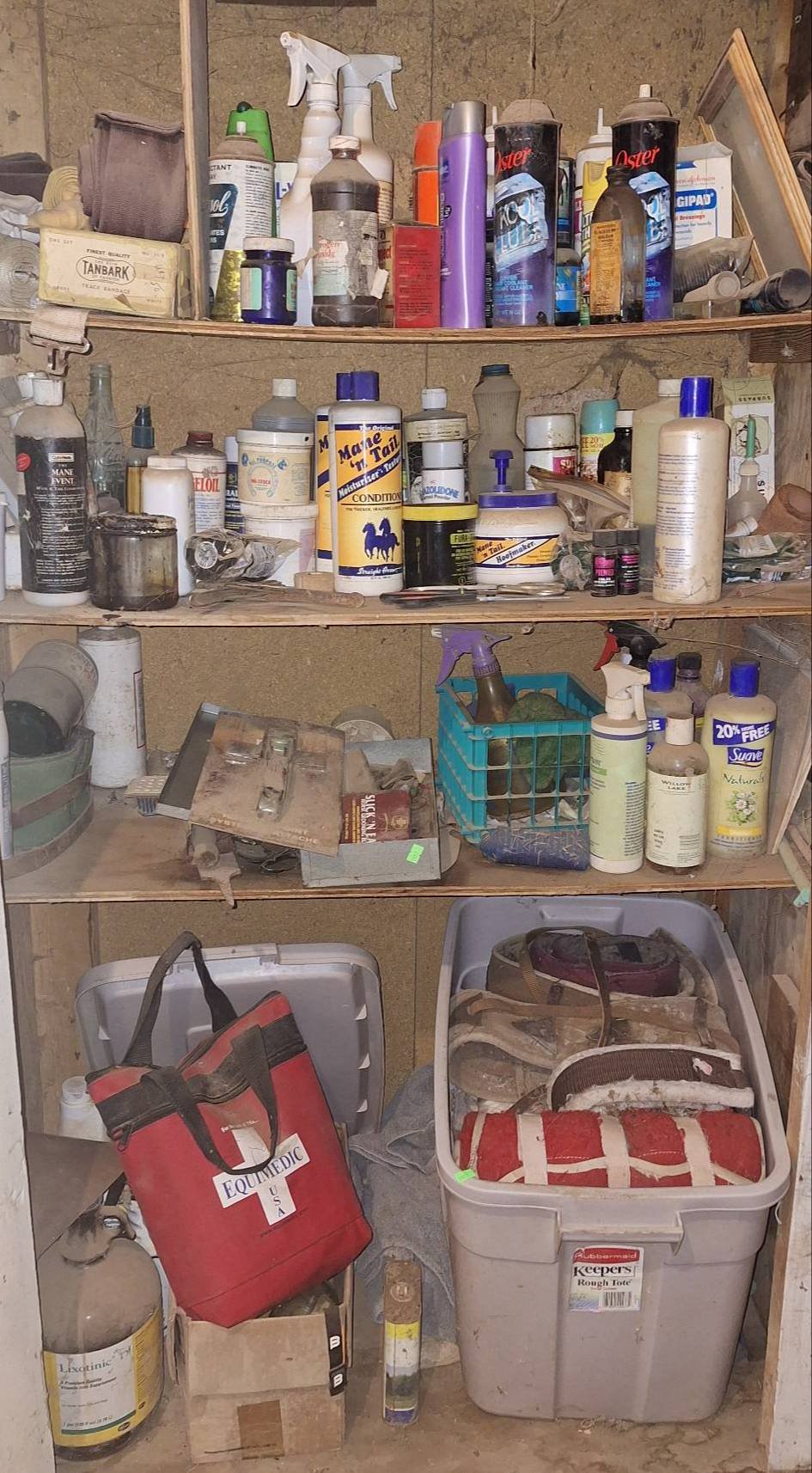 Online Bidding Available!