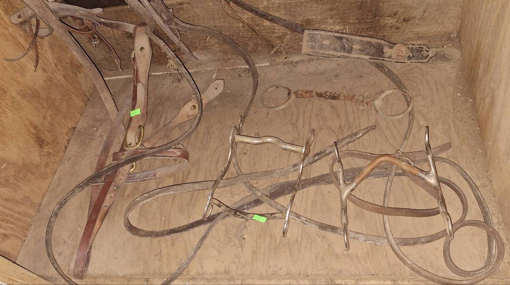 Online Bidding Available!