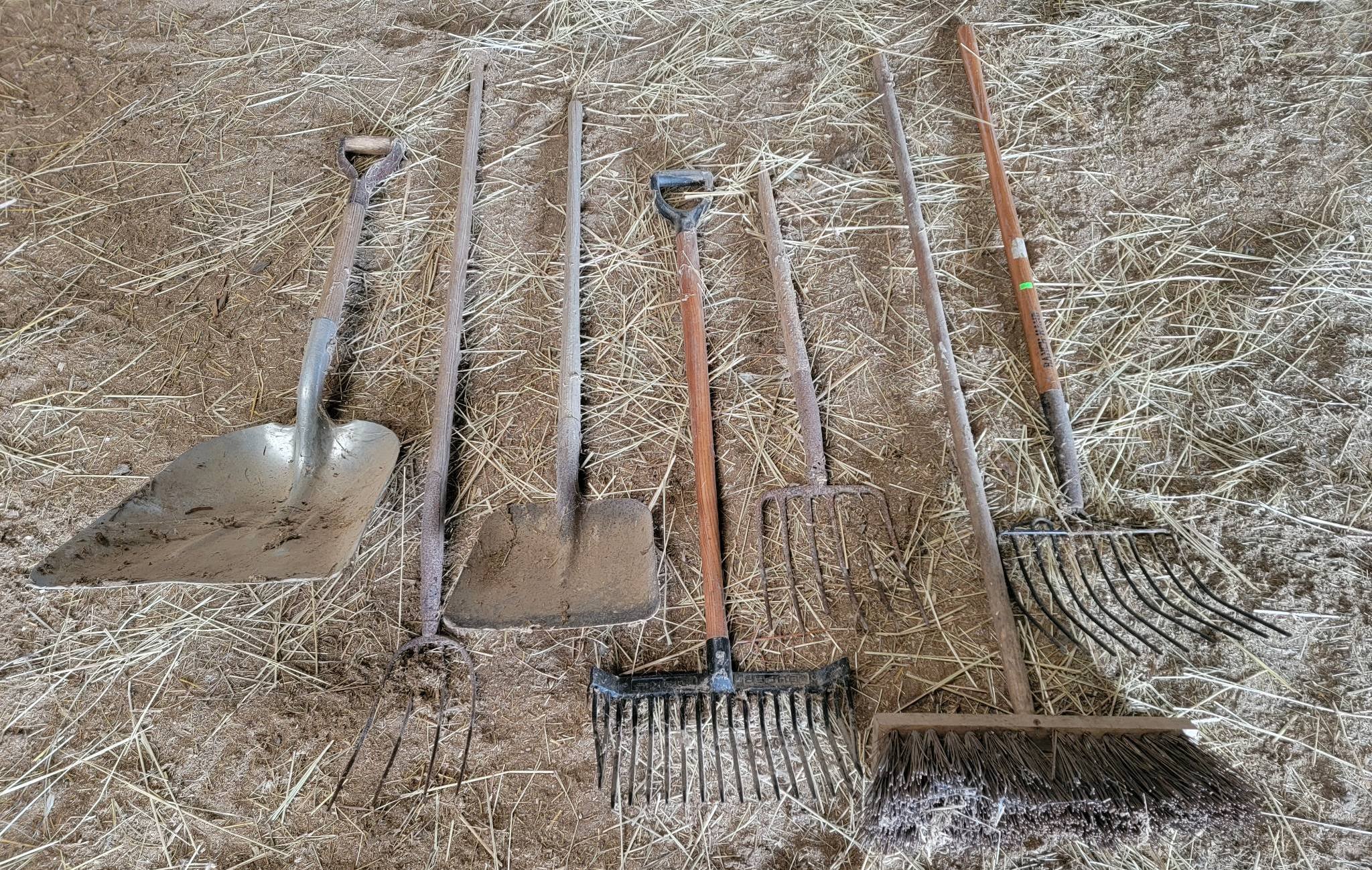 Online Bidding Available!