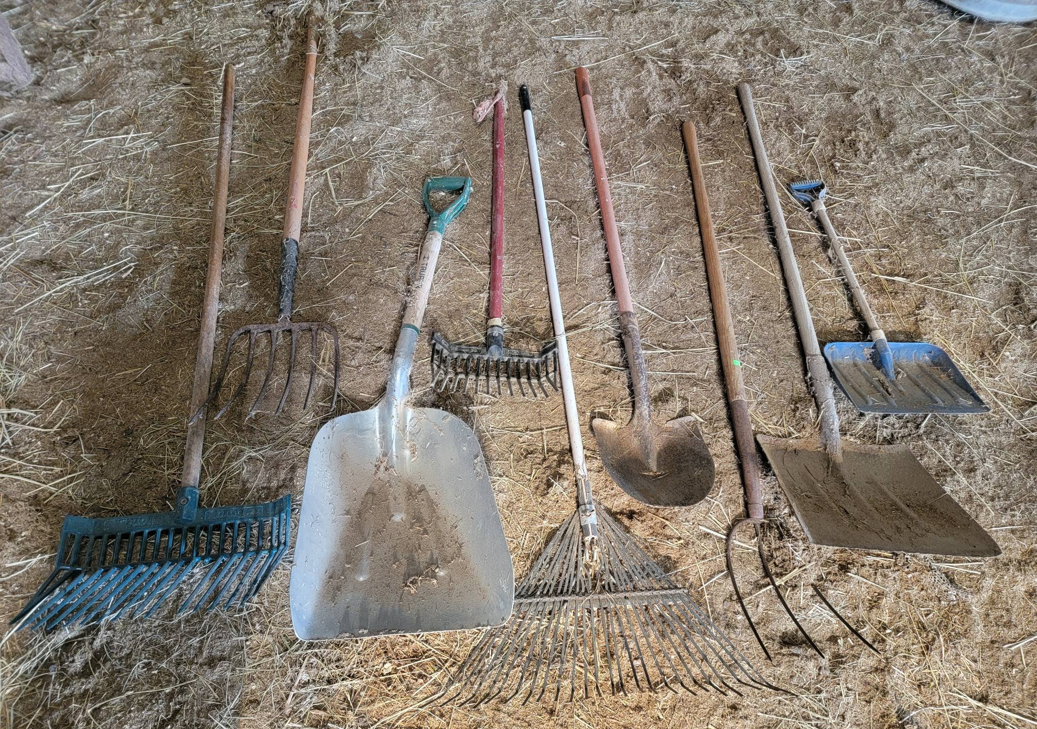 Online Bidding Available!