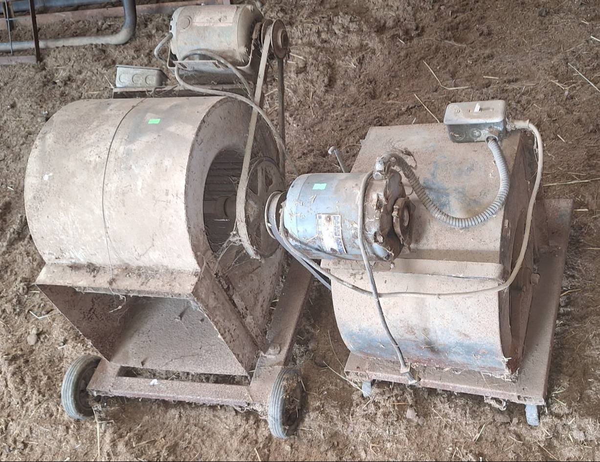 Online Bidding Available!