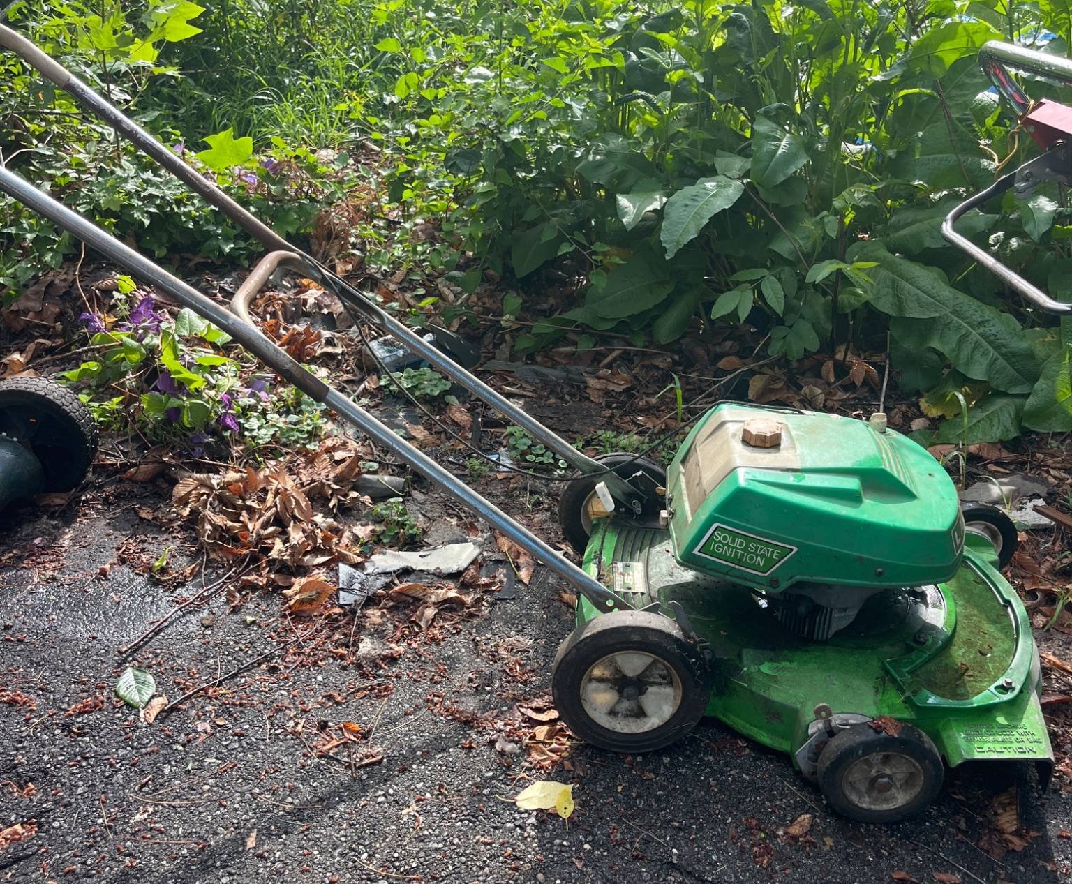 Online Bidding Available!