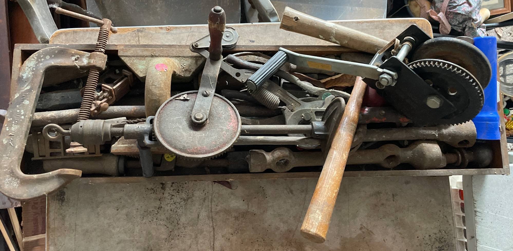 Online Bidding Available!