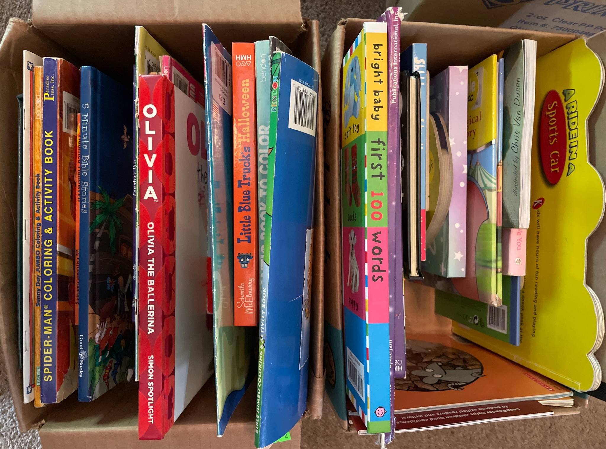 Online Bidding Available!