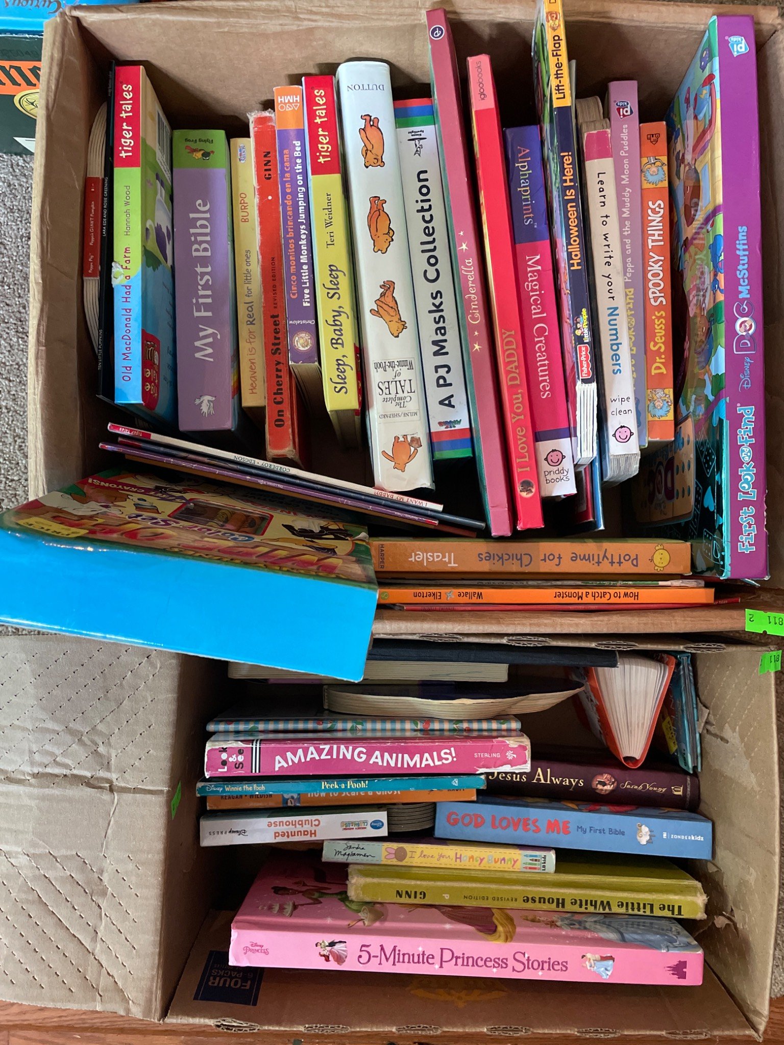 Online Bidding Available!