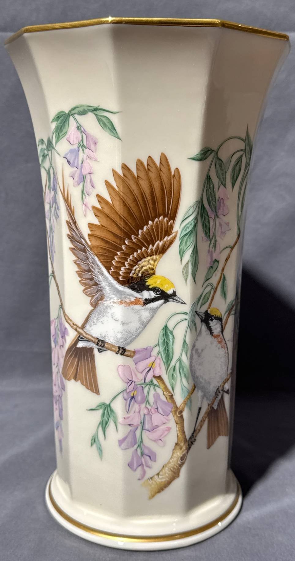 Online Bidding Available!