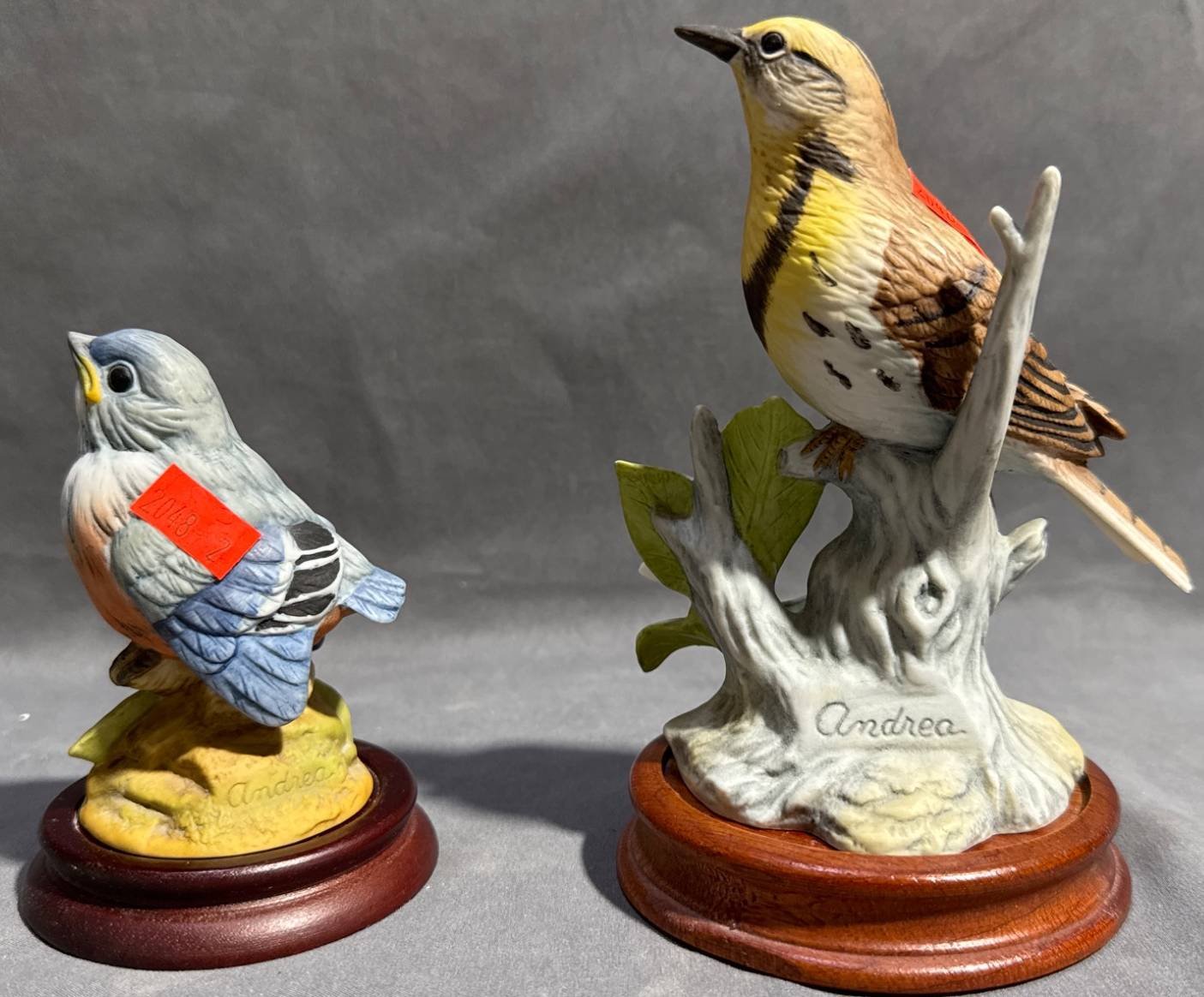 Online Bidding Available!