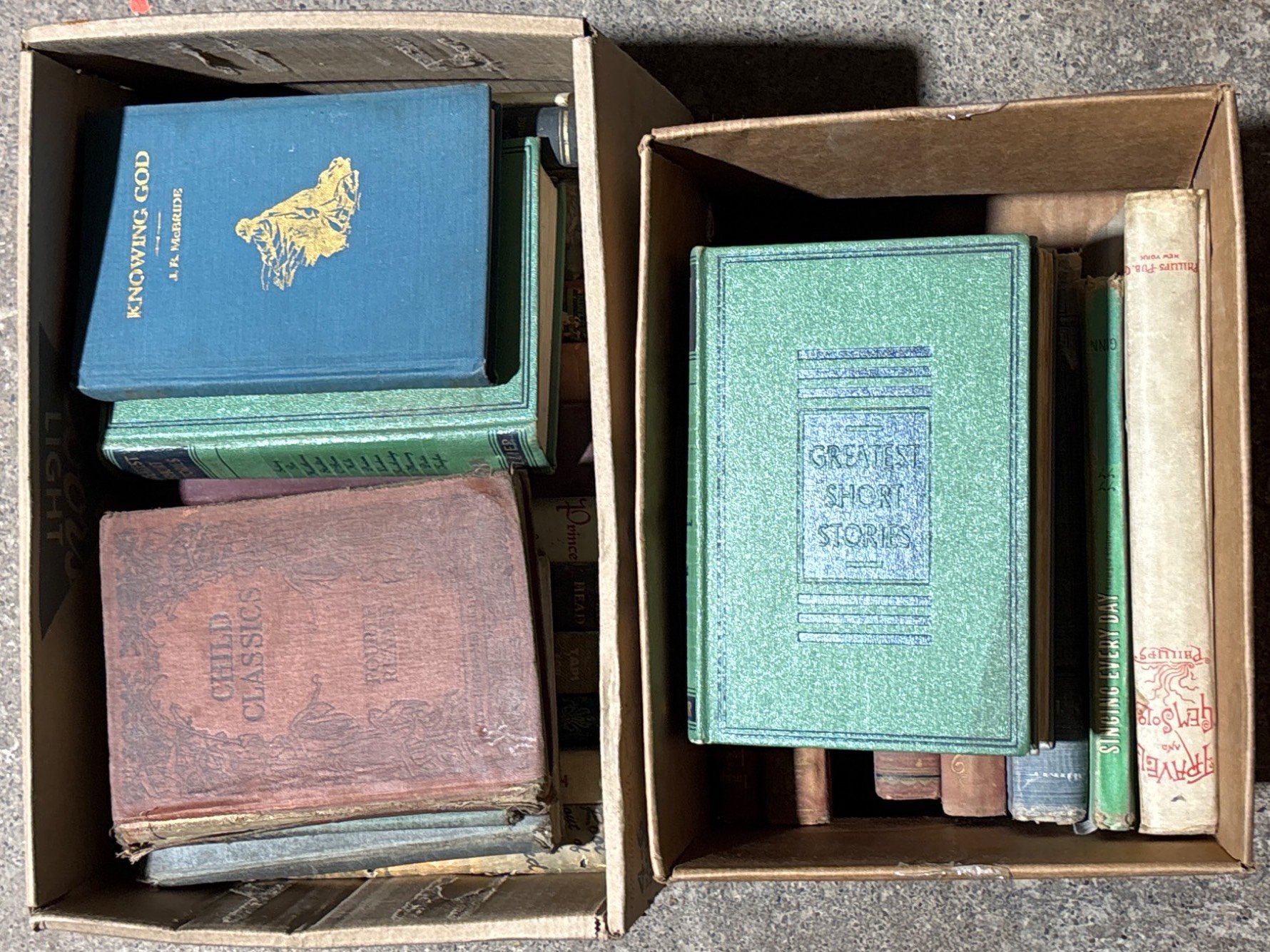 Online Bidding Available!