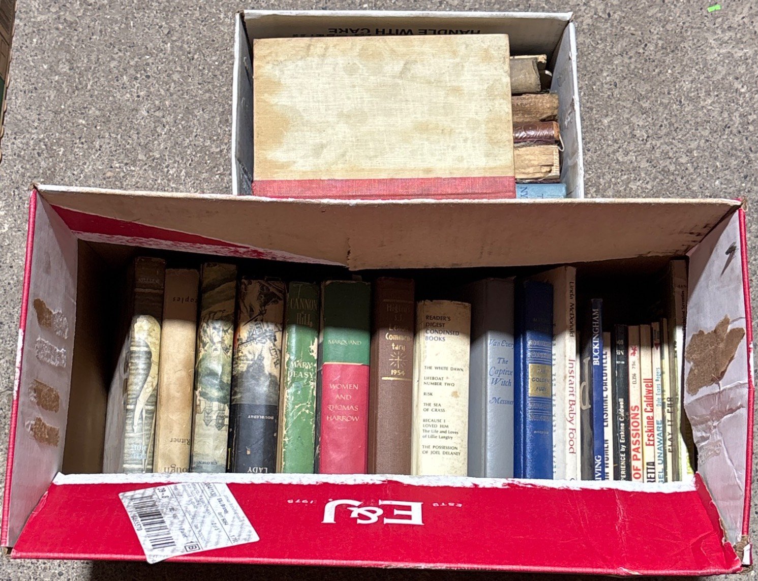 Online Bidding Available!